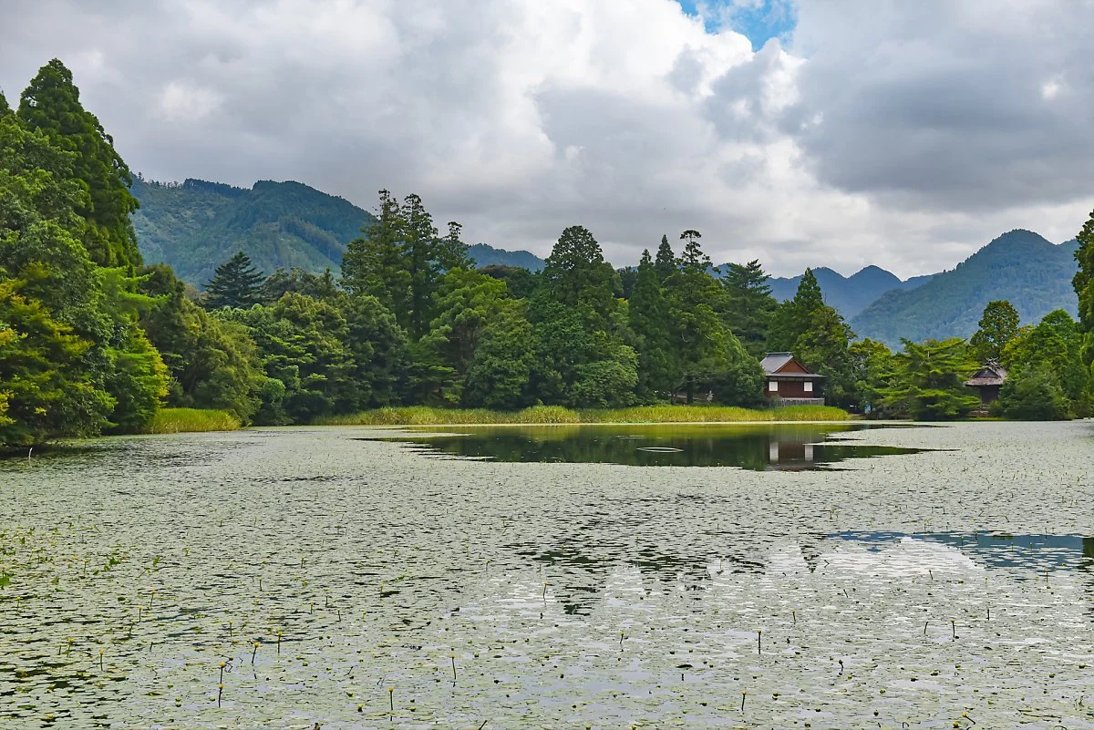 %ED%98%B8%EC%8B%9C%EB%85%B8%ED%9B%84%EB%A3%A8%EC%82%AC%ED%86%A0%EA%B3%B5%EC%9B%90_%EC%95%84%EC%86%8C%ED%98%B8%EC%88%98.jpg?type=w1200