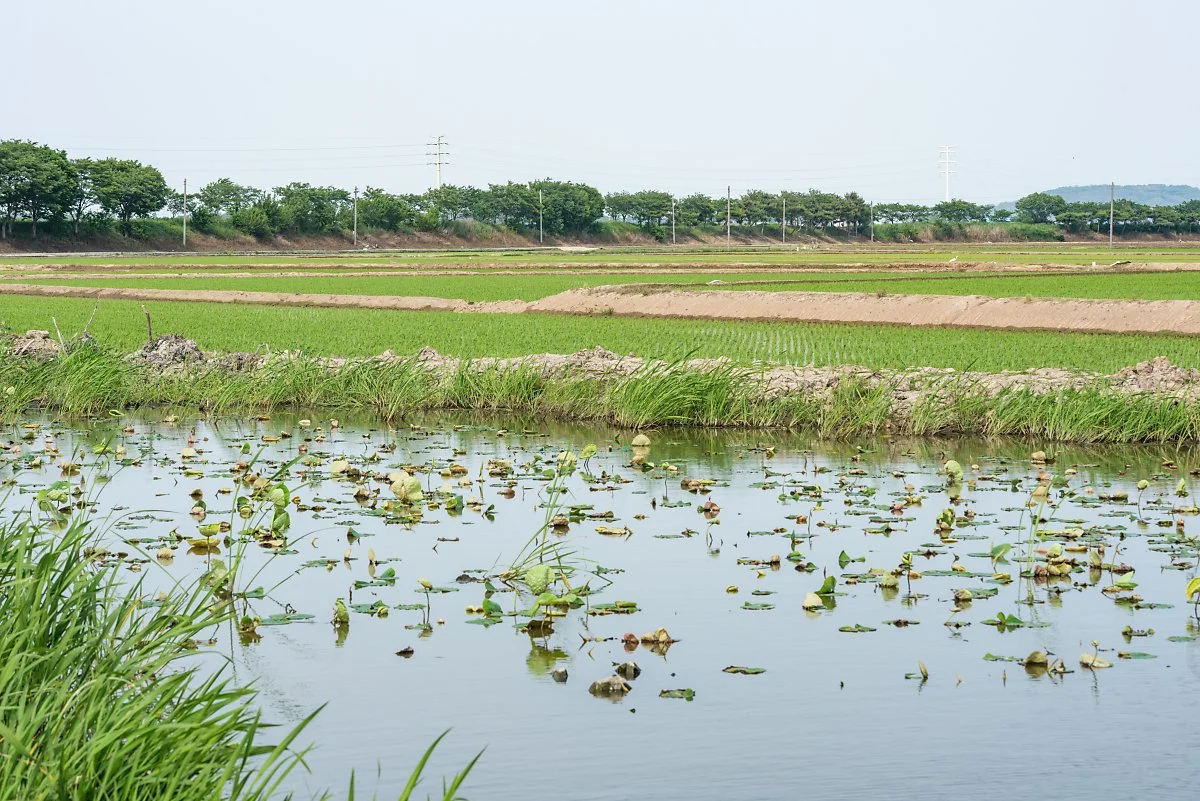 %EB%91%A0%EB%B2%99_%281%29.jpg?type=w1200