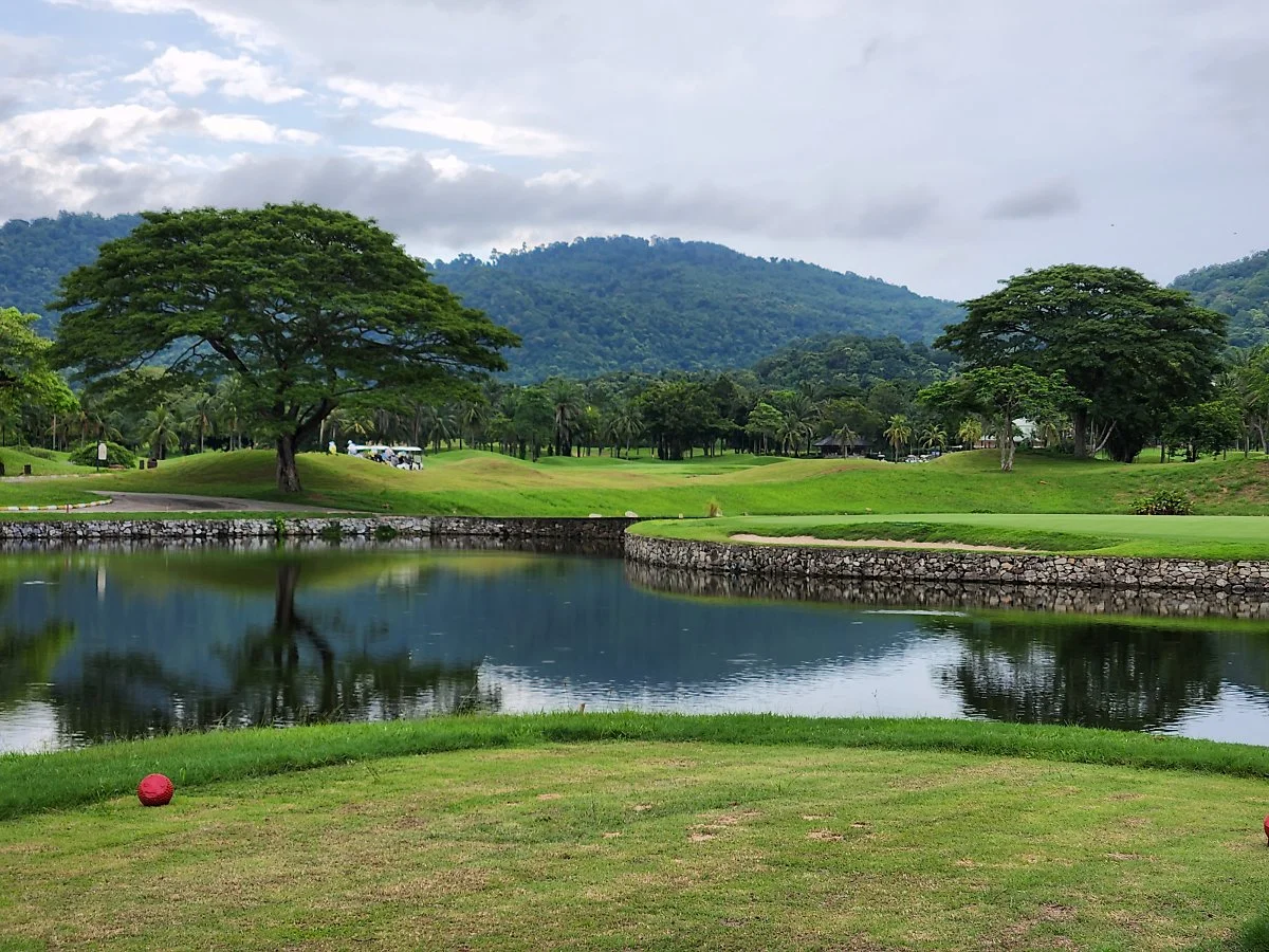 %EC%B9%B4%EC%98%A4%ED%82%A4%EC%97%AC%EC%9A%B0CC_%2819%29.jpg?type=w1200