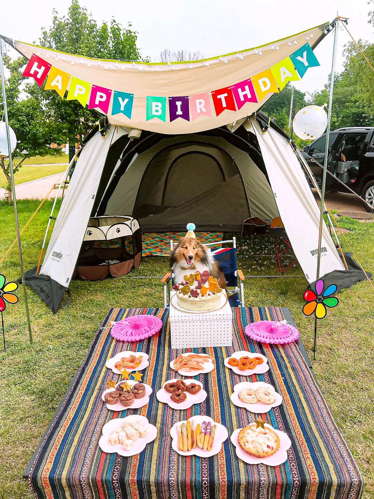 E9A7275B-809A-4634-95B5-8F6B92B7892E.jpeg?type=w1200