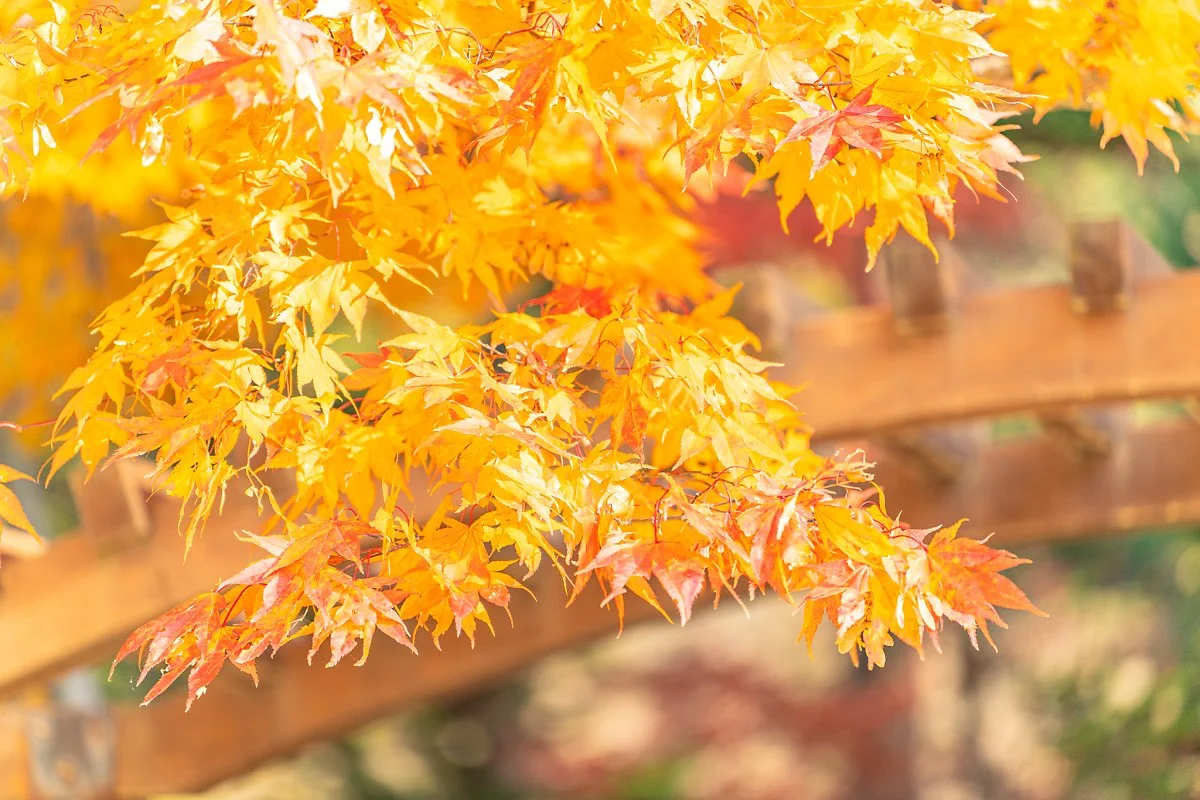 %EC%9B%94%EC%A0%95%EC%82%AC_001.jpg?type=w1200