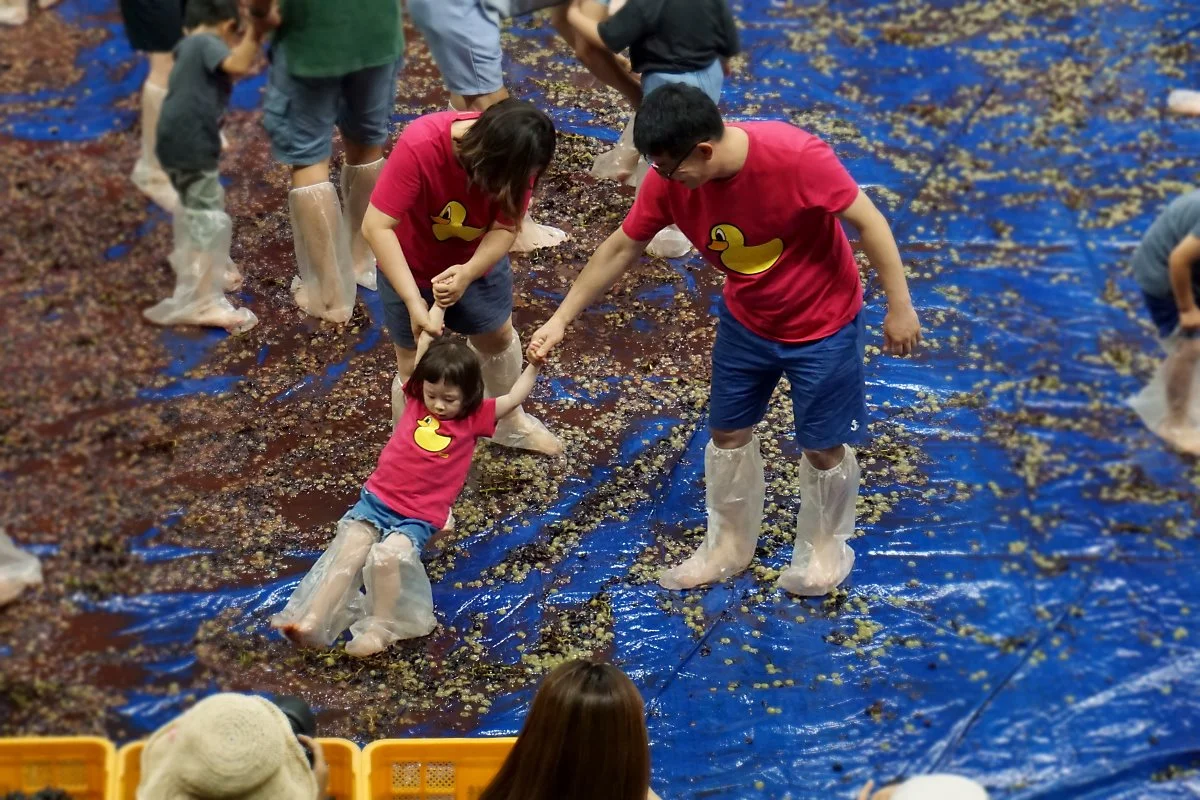 %EC%98%81%EB%8F%99%ED%8F%AC%EB%8F%84%EC%B6%95%EC%A0%9C_%286%29.JPG?type=w1200