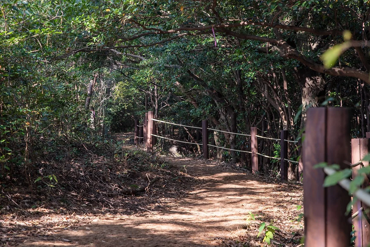 %EB%A8%B8%EC%B3%87%EC%99%93%EC%88%B2%EA%B8%B8_002.jpg?type=w1200