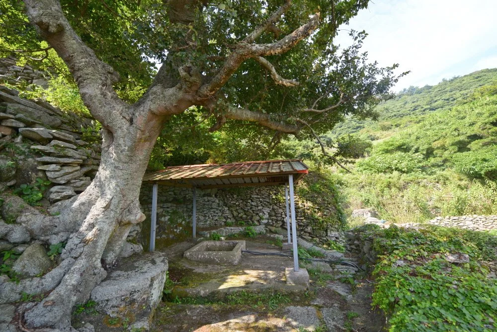 %ED%81%AC%EA%B8%B0%EB%B3%80%ED%99%98%EB%AC%BC%EC%9D%B4%EA%B7%80%ED%95%9C_%EC%97%AC%EC%84%9C%EB%8F%84%EC%9D%98_%EC%9A%B0%EB%AC%BC%ED%84%B0.JPG?type=w1200