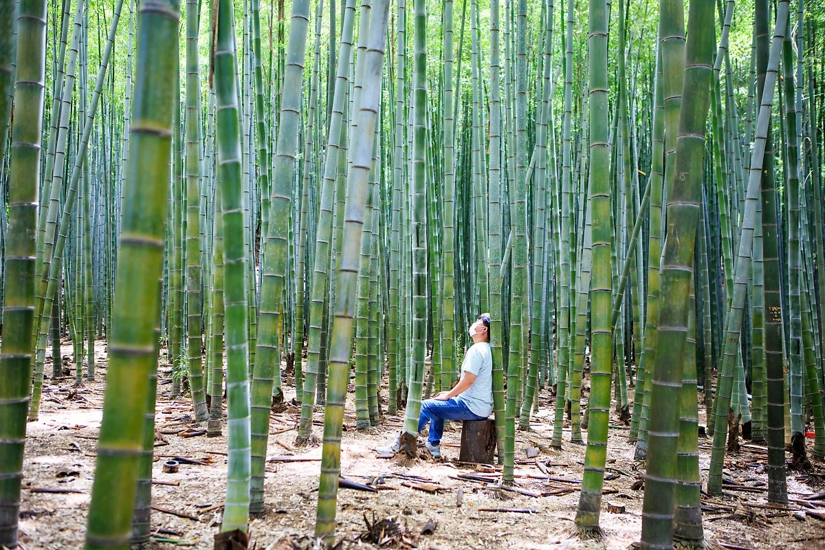 %EC%95%84%ED%99%89%EC%82%B0%EC%88%B2_%283%29.JPG?type=w1200