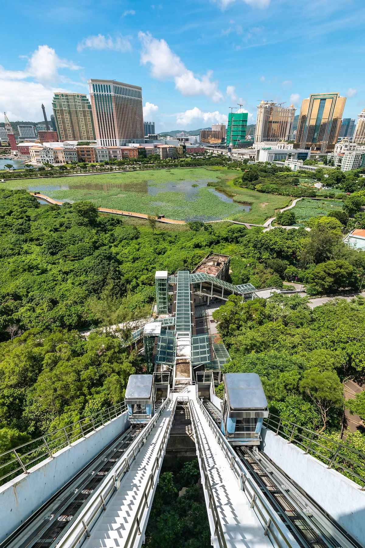 %ED%83%80%EC%9D%B4%ED%8C%8C_%EA%B7%B8%EB%9E%80%EB%8D%B0_%EC%A0%84%EB%A7%9D%EB%8C%80_%282%29.JPG?type=w1200