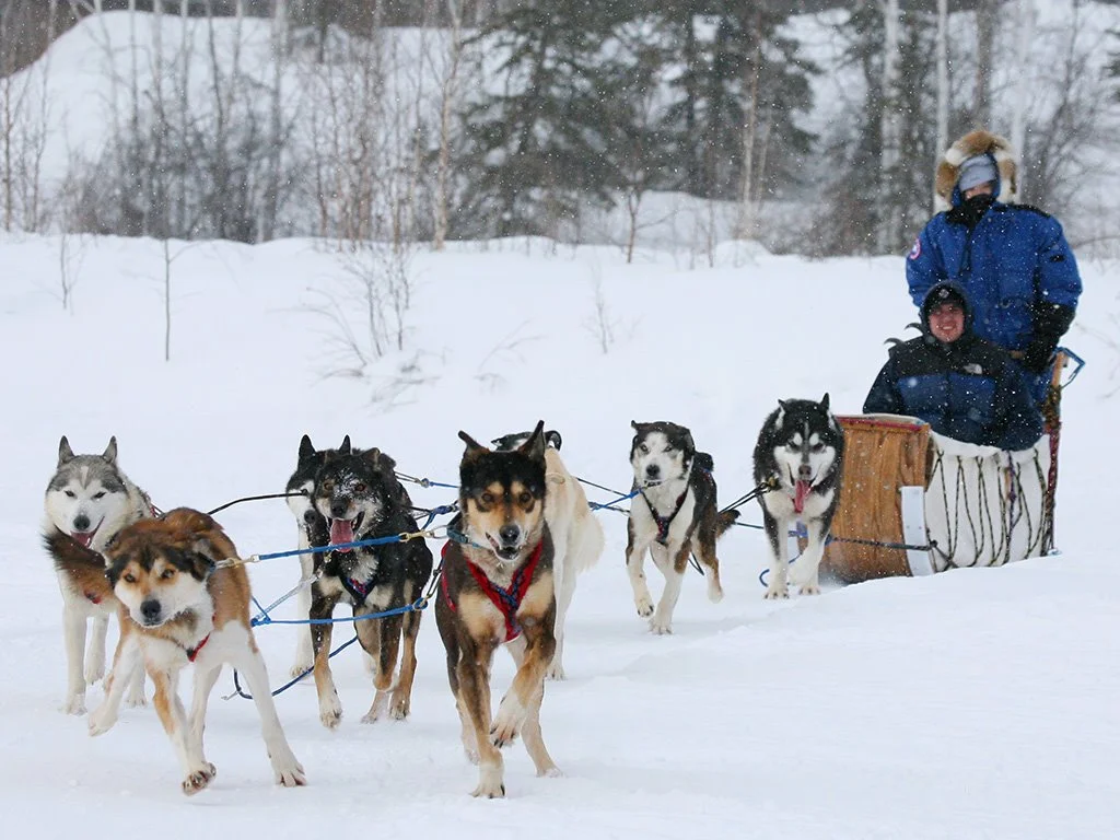 %EA%B0%9C%EC%8D%B0%EB%A7%A4_%28%EC%88%98%EC%A0%95%29.jpg?type=w1200