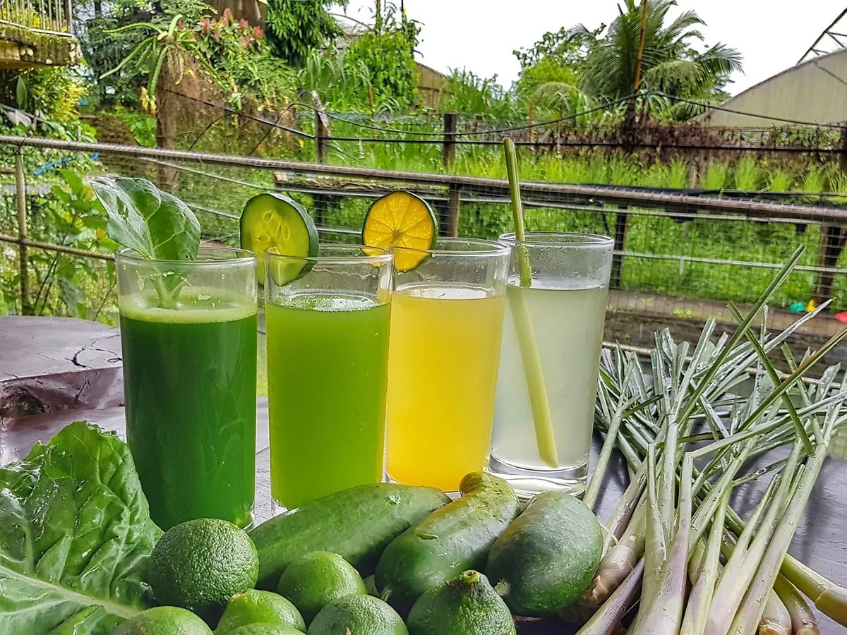 %EC%BD%94%EC%8A%A4%ED%83%80%EC%9D%BC%EC%A6%88_%EC%9E%90%EC%97%B0_%EB%86%8D%EC%9E%A5_2.jpg?type=w1200