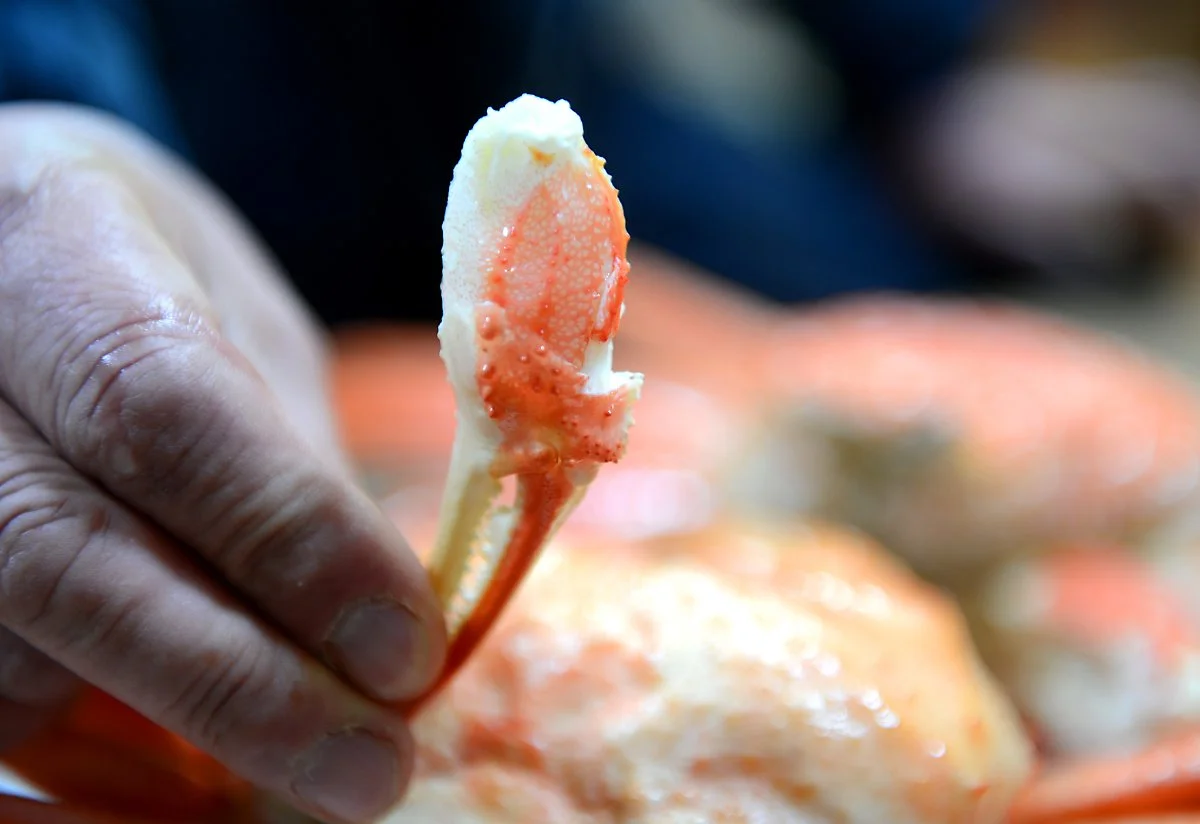 %EB%8C%80%EA%B2%8C_%EC%A7%91%EA%B2%8C%EC%A3%BC%EB%A8%B9%EC%82%B4.JPG?type=w1200