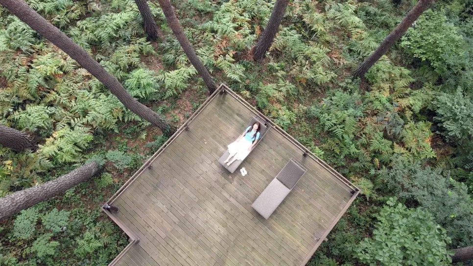 %EC%88%B2_%EC%B9%98%EC%9C%A0.jpg?type=w966