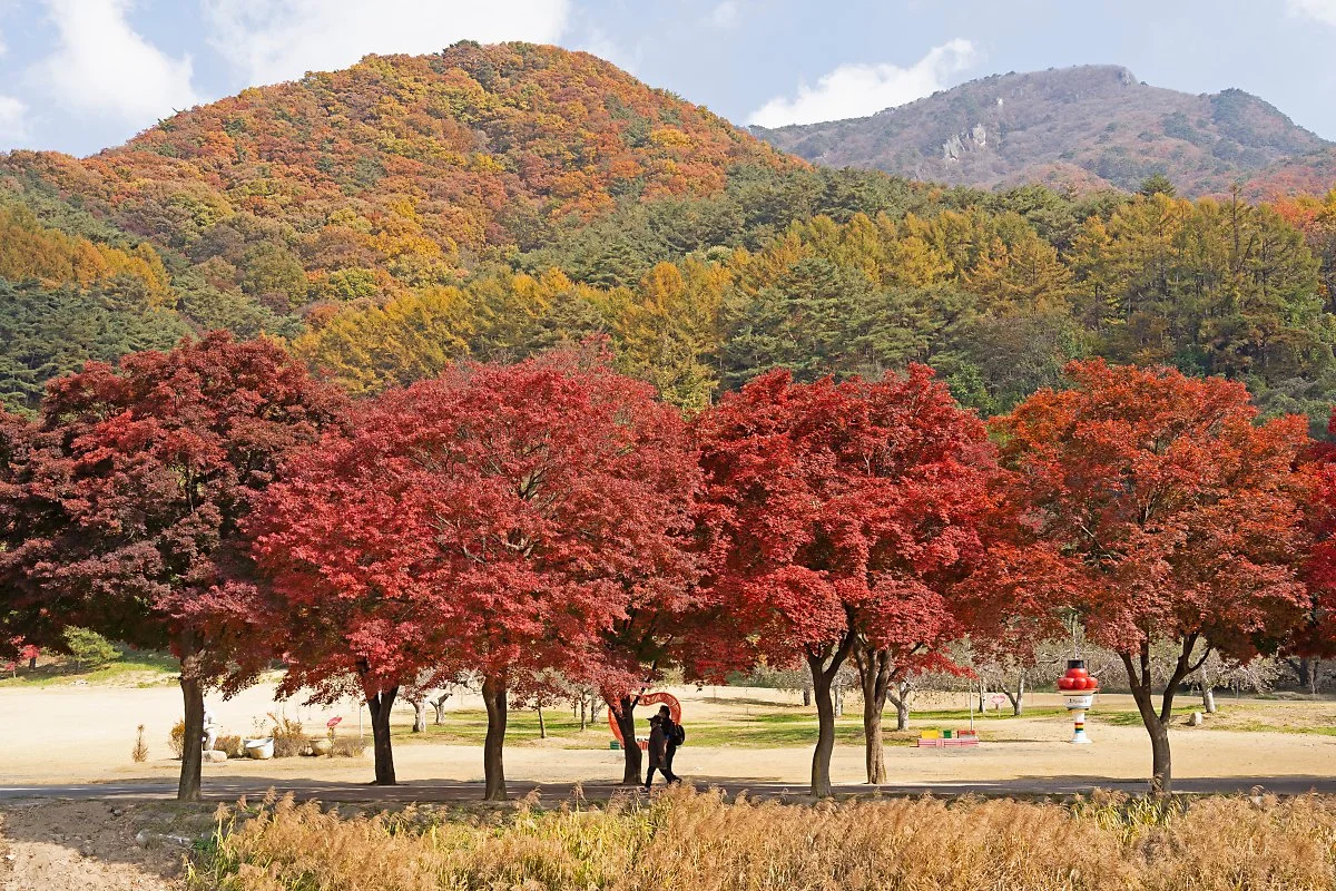 %EC%82%AC%EC%A7%845_%EA%B1%B4%EB%84%88%ED%8E%B8%EC%97%90%EC%84%9C_%EB%B3%B8_%EC%83%88%EC%9E%AC%EB%A1%9C.jpg?type=w1200