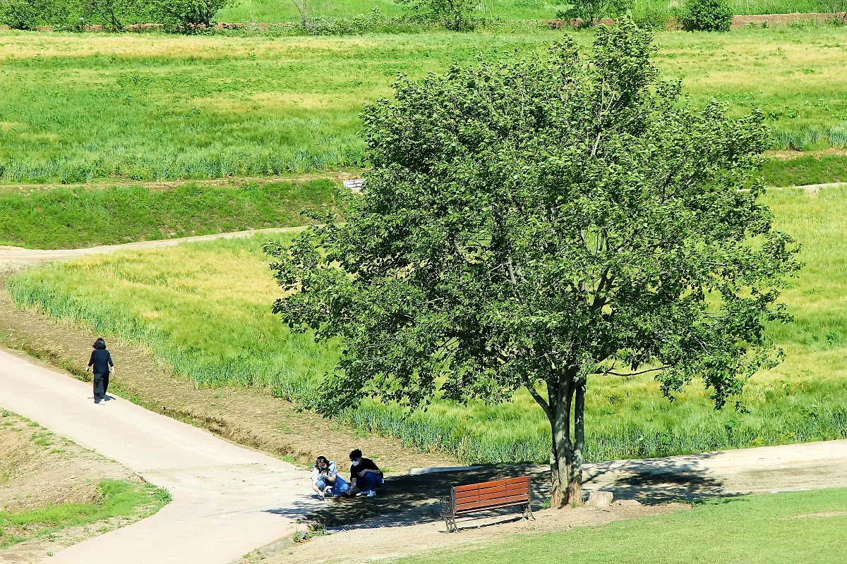 02%ED%98%B8%EB%A1%9C%EA%B3%A0%EB%A3%A8%EC%84%B1_%282%29.JPG?type=w1200