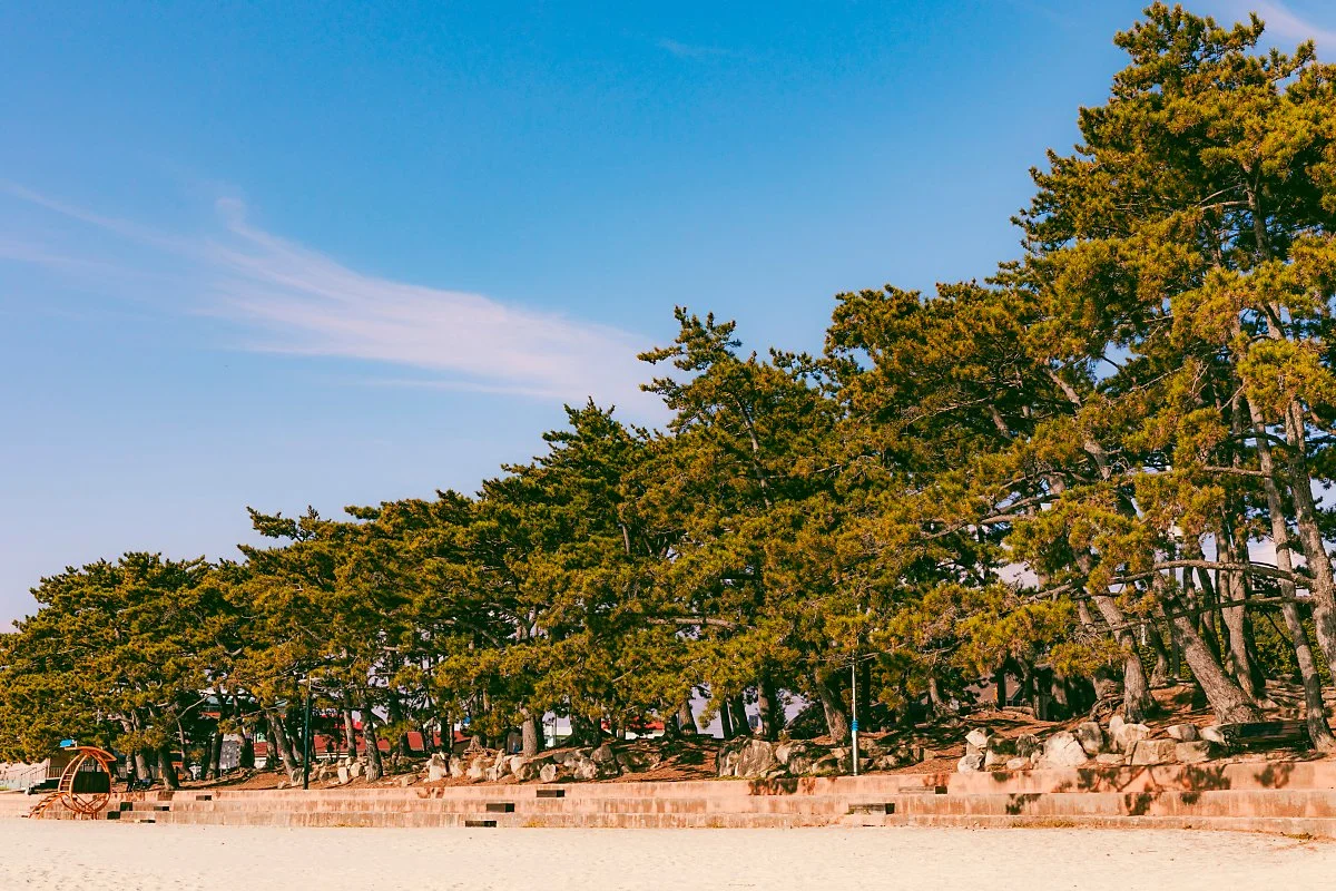 %EC%86%A1%ED%98%B8%ED%95%B4%EC%88%98%EC%9A%95%EC%9E%A5%281%29.jpg?type=w1200