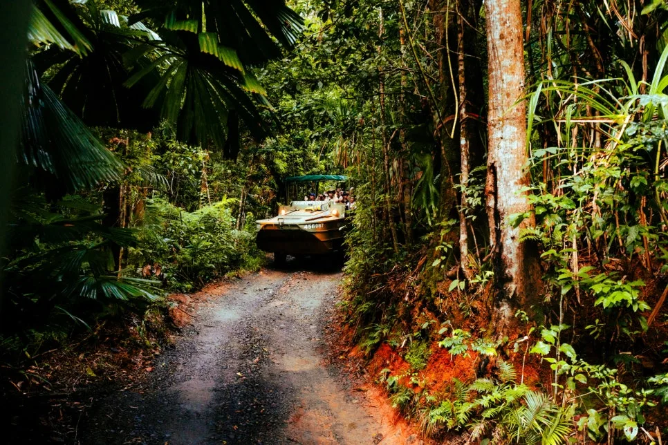 %EB%A0%88%EC%9D%B8%ED%8F%AC%EB%A0%88%EC%8A%A4%ED%85%8C%EC%9D%B4%EC%85%98_%EC%9E%90%EC%97%B0%EA%B3%B5%EC%9B%90_(3).jpg?type=w966