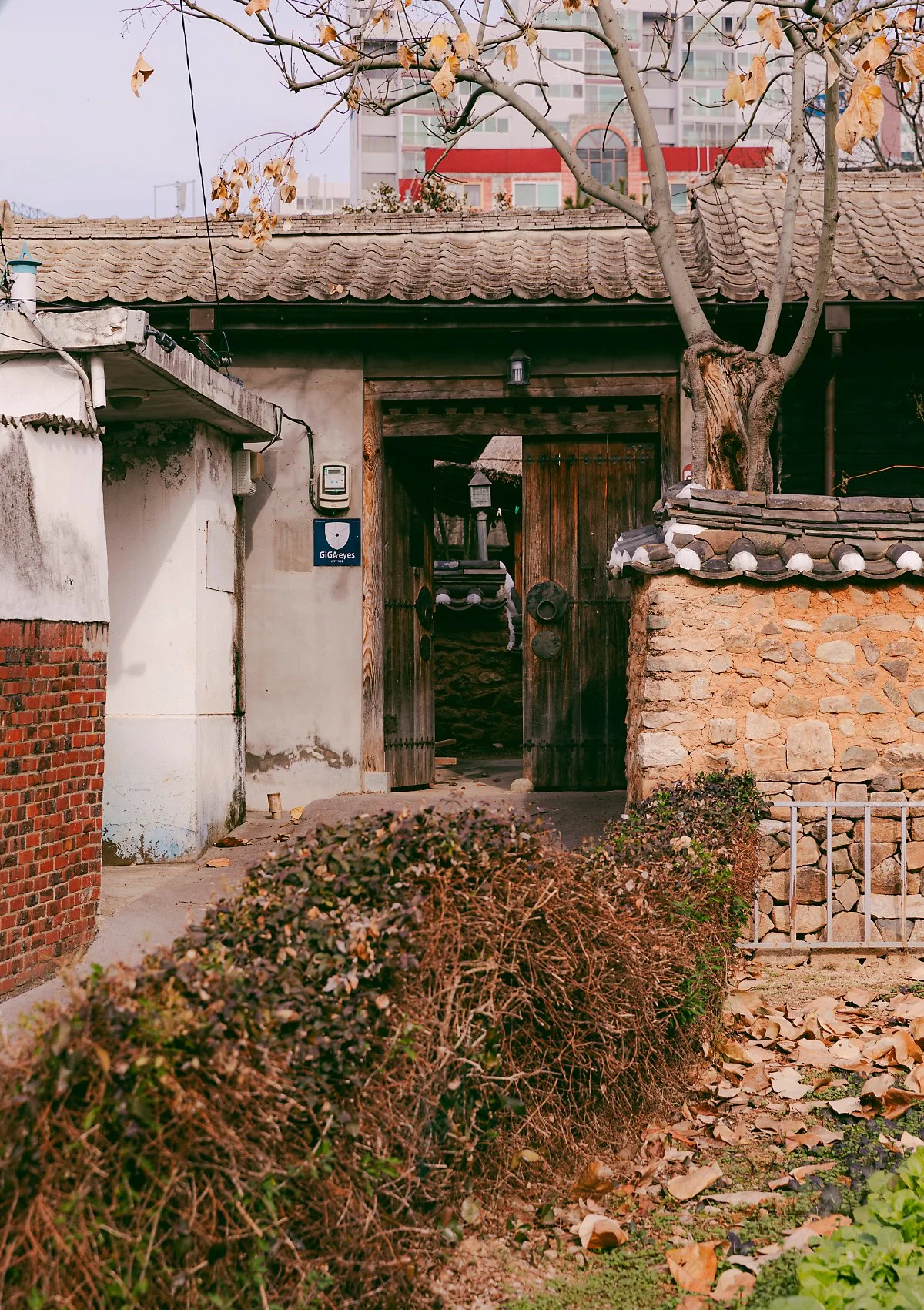 d_%EC%98%A4%EC%A7%80%ED%98%B8%EA%B0%80%EC%98%A5.jpg?type=w1200