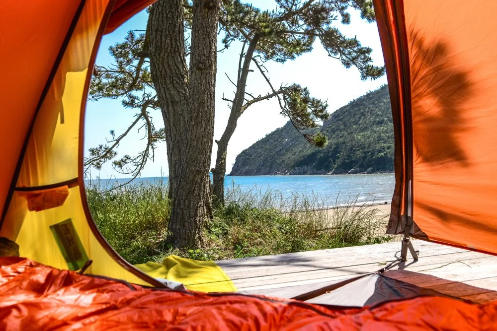 %ED%81%AC%EA%B8%B0%EB%B3%80%ED%99%98%ED%85%90%ED%8A%B8%EC%95%88%EC%97%90%EC%84%9C_%EB%8A%90%EA%BB%B4%EC%A7%80%EB%8A%94_%EB%8C%80%EC%95%BC%EB%8F%84_%ED%95%B4%EB%B3%80%EC%A0%95%EC%B7%A8.JPG?type=w1200