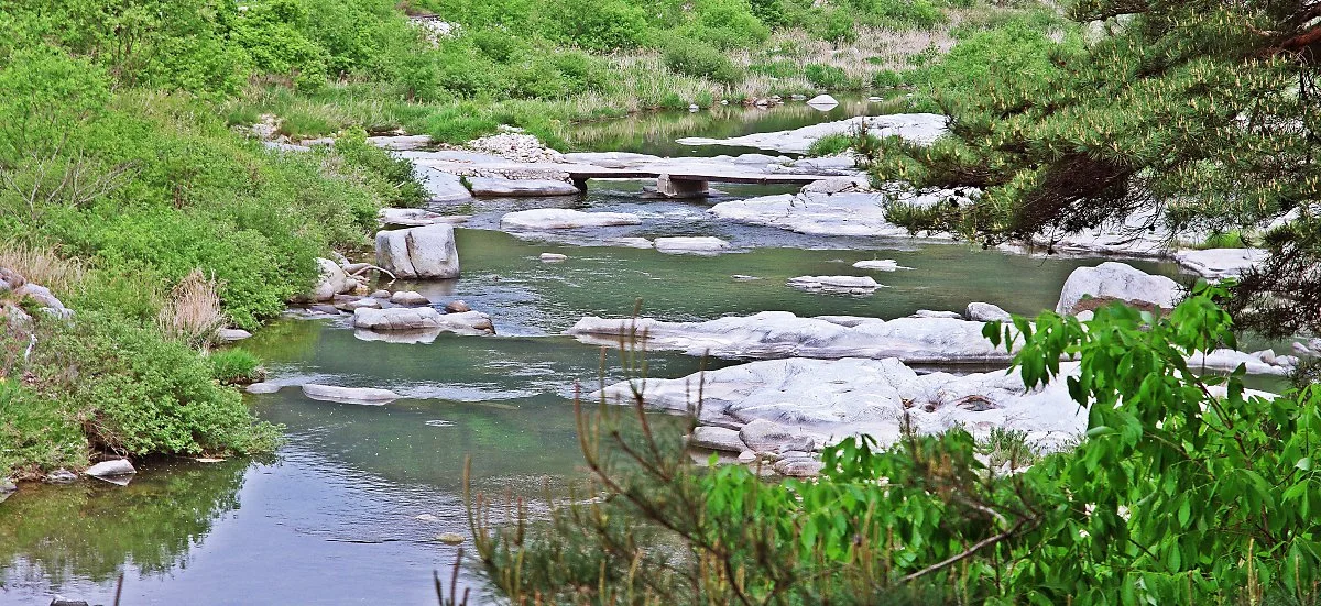 %EB%9E%8C%EC%B2%9C%EC%A0%95_%EB%B6%80%EA%B7%BC_%EA%B0%9C%EC%9A%B8_%ED%92%8D%EA%B2%BD._%EA%B0%9C%EC%9A%B8%EC%9D%84_%EA%B1%B4%EB%84%88%EB%8A%94_%EB%82%AE%EC%9D%80_%EB%8B%A4%EB%A6%AC%EA%B0%80_%EC%88%9C%ED%95%98%EB%8B%A4..JPG?type=w1200