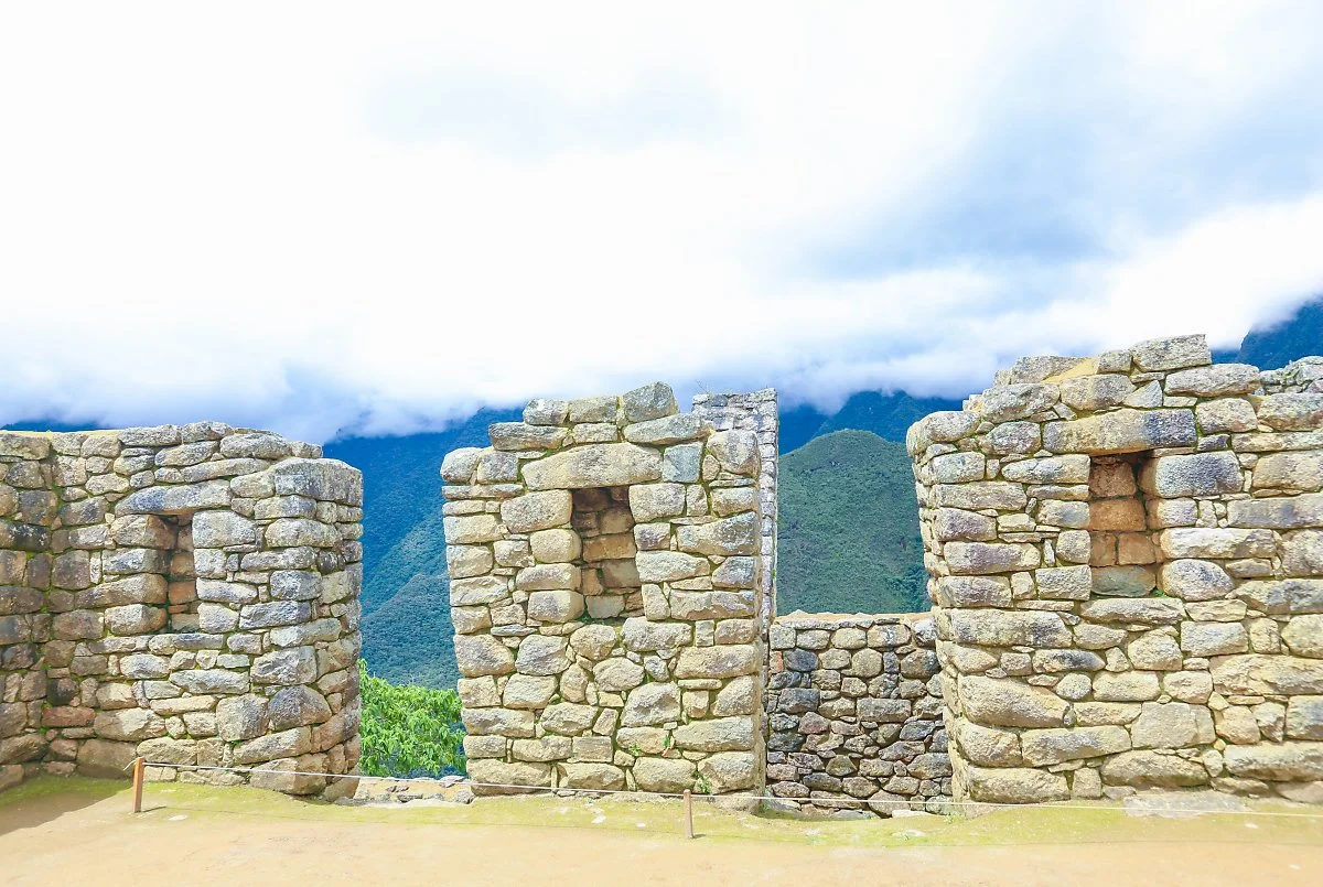 %EB%A7%88%EC%B6%94%ED%94%BD%EC%B6%94_%286%29.jpg?type=w1200