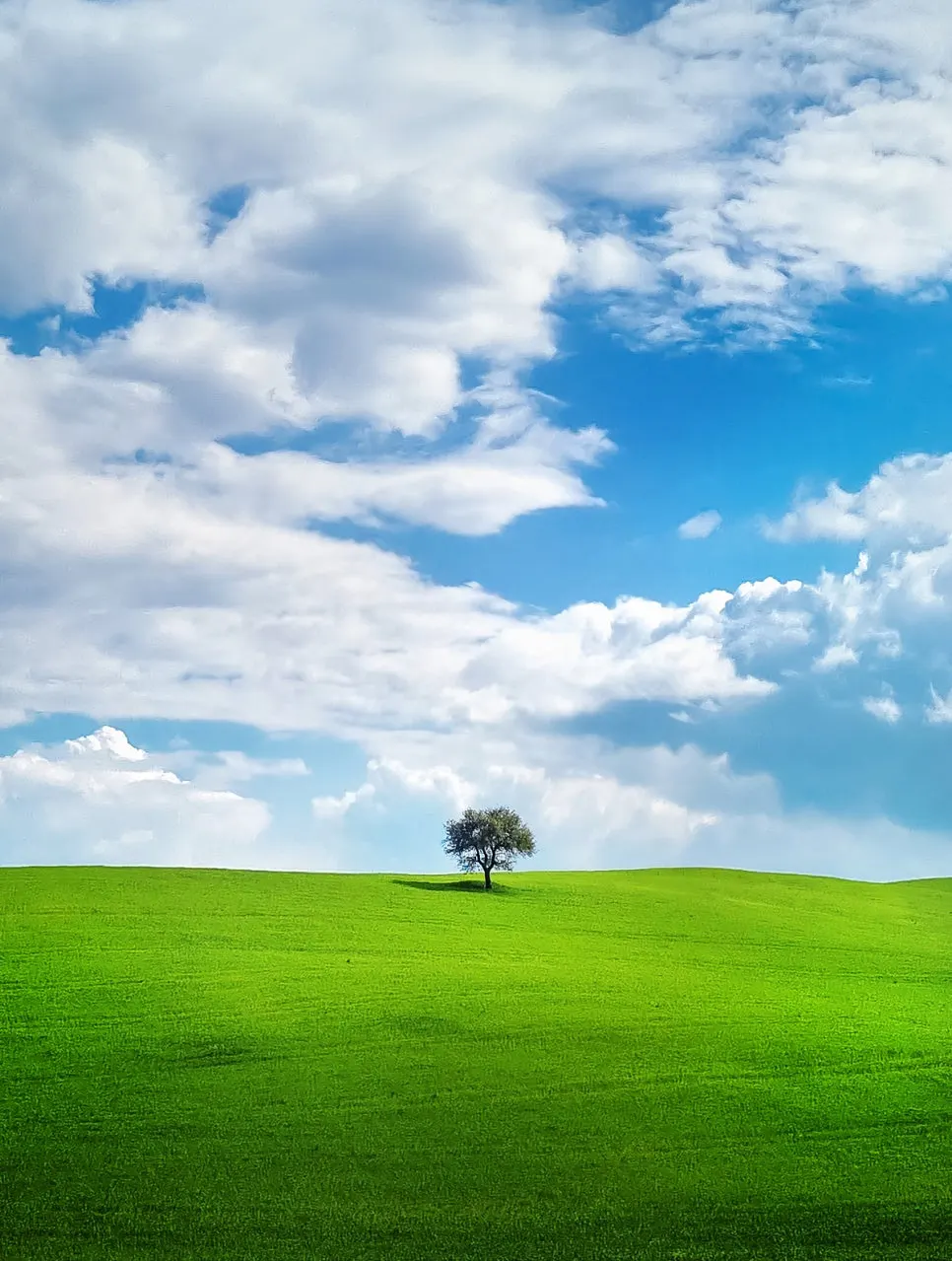 20220502_160724.jpg?type=w966