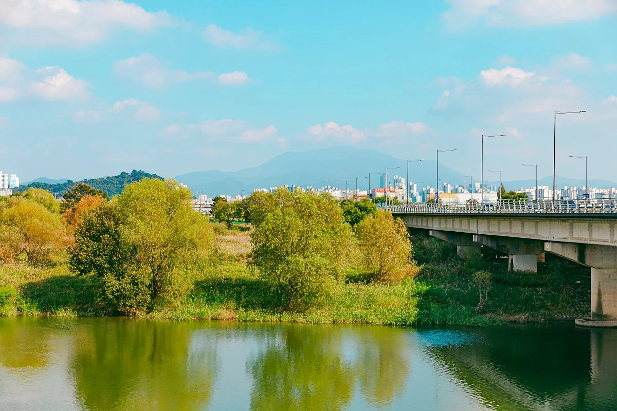 %EA%B4%91%EC%A3%BC_%ED%92%8D%EC%98%81%EC%A0%95%EA%B8%B8%EC%97%90%EC%84%9C_%EB%B3%B8_%EB%AC%B4%EB%93%B1%EC%82%B0.jpg?type=w1200