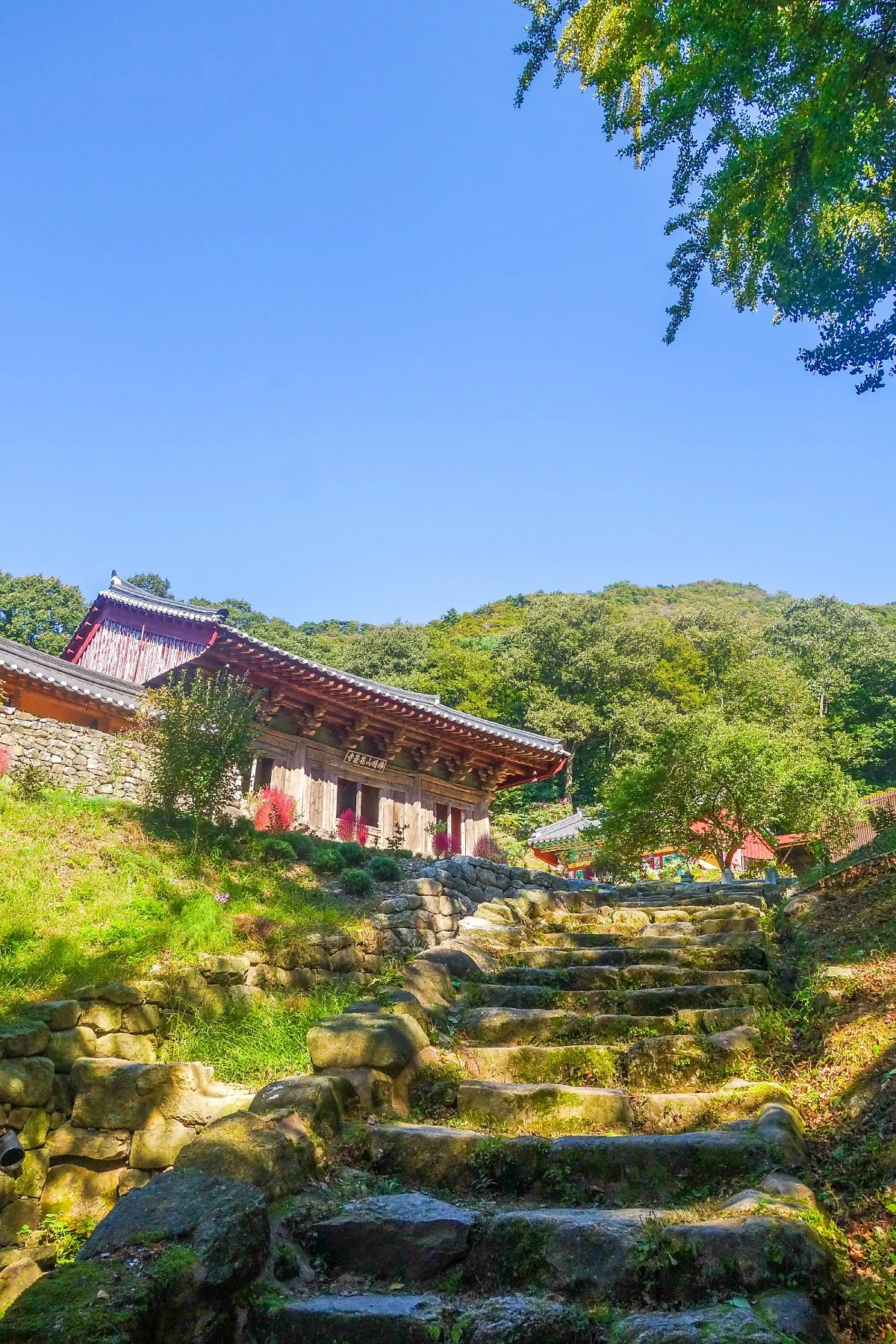 %EB%8F%84%EB%B9%84%EB%9D%BC1.jpg?type=w1200