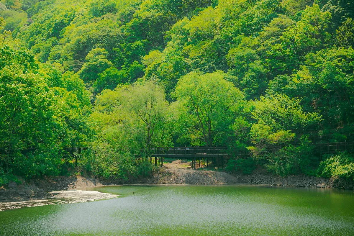 %EA%B5%90%EC%B2%B47.jpg?type=w1200