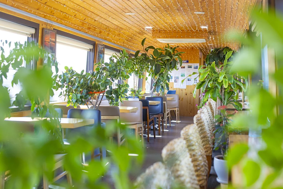 %EB%B9%84%EB%B9%84%EC%A0%95%EC%98%88%EC%88%A0%EC%97%B4%EC%B0%A8%285%29.jpg?type=w1200