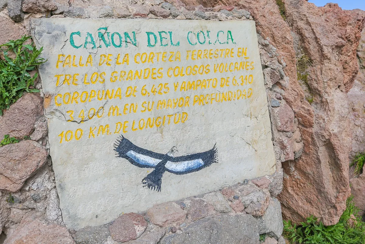 %EC%BD%9C%EC%B9%B4%EC%BA%90%EB%8B%88%EC%96%B8_%285%29.jpg?type=w1200