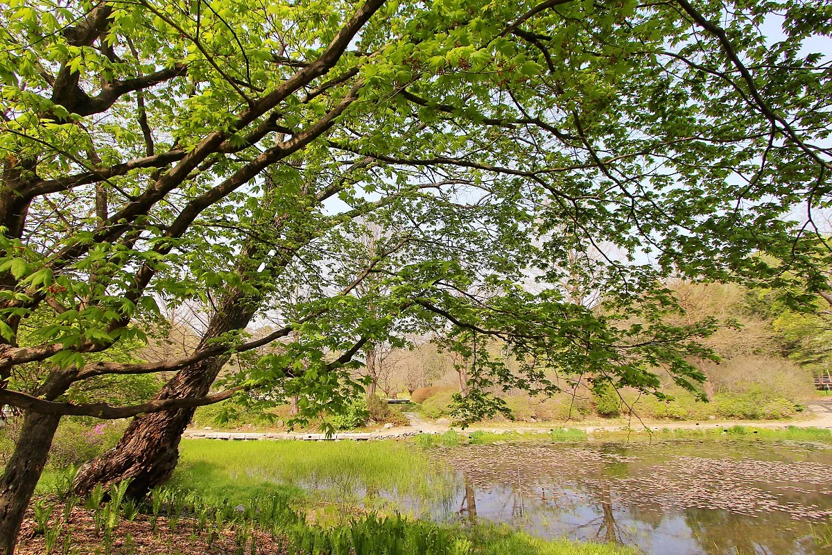 00%EA%B5%AD%EB%A6%BD%EC%88%98%EB%AA%A9%EC%9B%90_%283%29.JPG?type=w1200