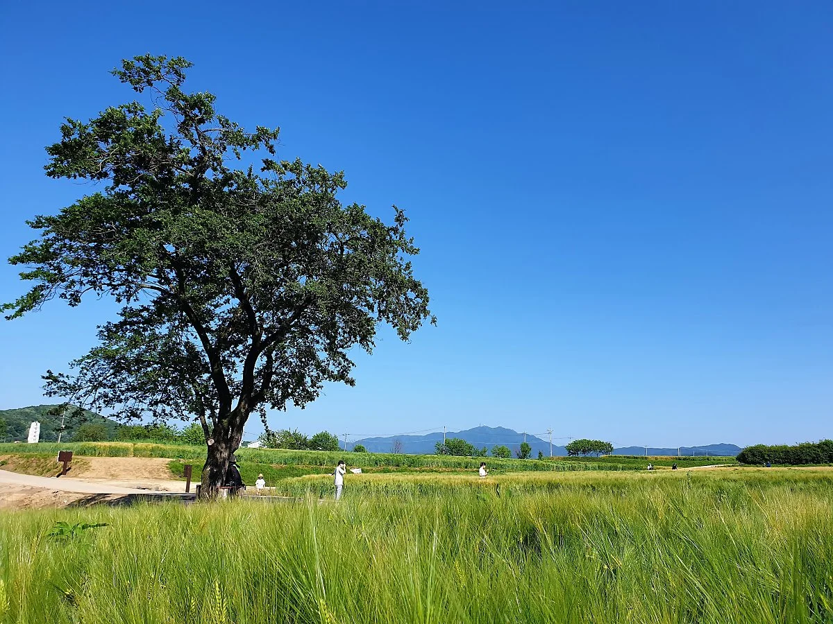 02%ED%98%B8%EB%A1%9C%EA%B3%A0%EB%A3%A8%EC%84%B1_%284%29.jpg?type=w1200