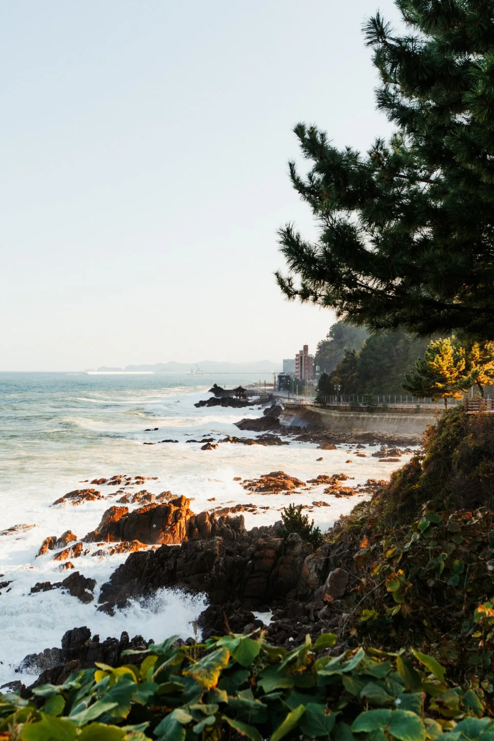 %EC%83%88%EC%B2%9C%EB%85%84%ED%95%B4%EC%95%88%EB%8F%84%EB%A1%9C_(3).jpg?type=w966