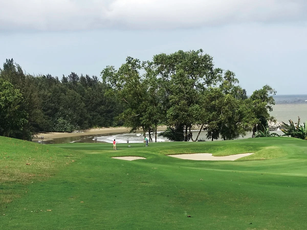 %EC%97%98%ED%8C%8C%EC%9D%B4%EC%96%B4%EA%B3%A8%ED%94%84%EC%9E%A5_%2822%29_%EC%82%AC%EB%B3%B8.jpg?type=w1200