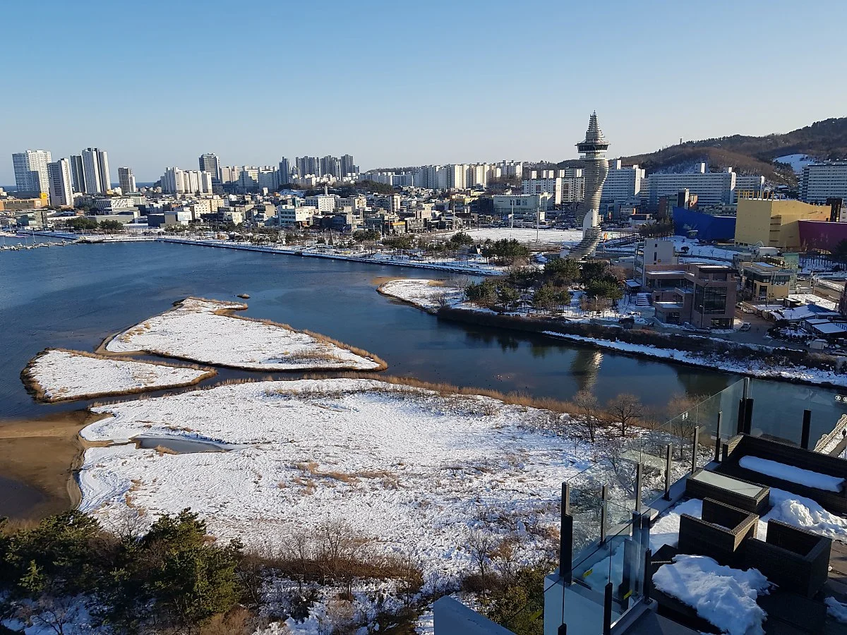 %EC%B2%AD%EC%B4%88%ED%98%B8_%282%29.jpg?type=w1200