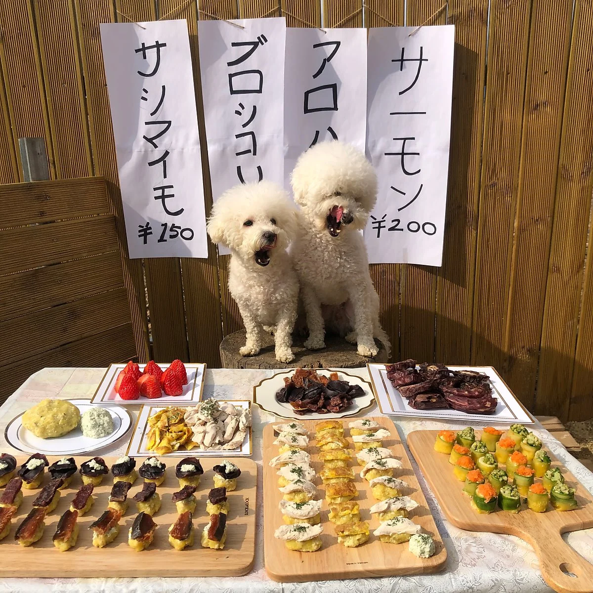 %EC%95%8C%EB%A1%9C%ED%95%98%EB%8F%84%EA%B7%B8_%283%29.jpeg?type=w1200