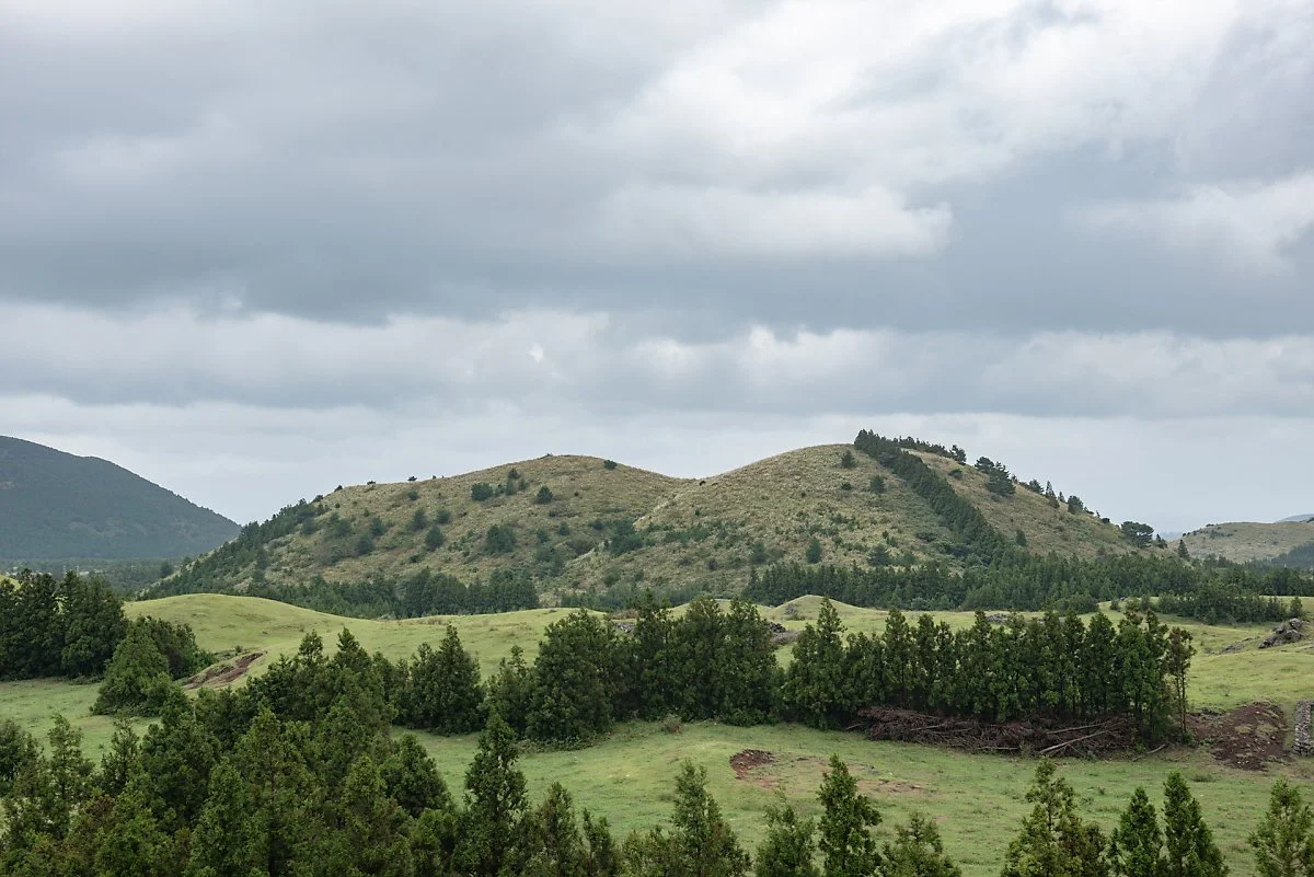 %EC%86%90%EC%A7%80%EC%98%A4%EB%A6%84_%281%29.jpg?type=w1200