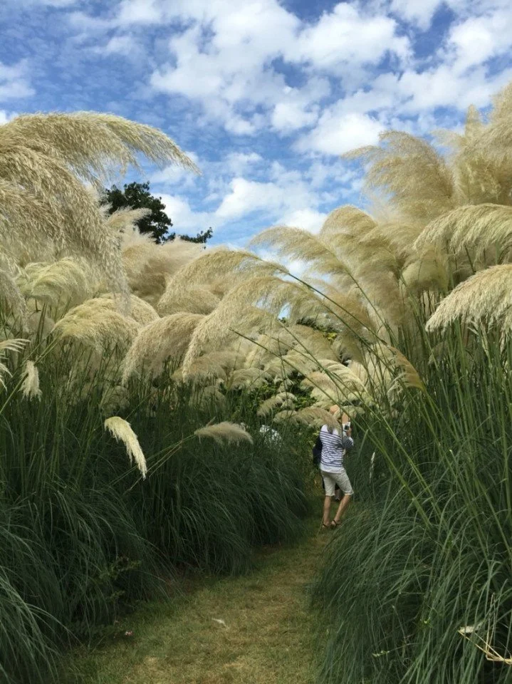 %ED%83%9C%EC%95%88%ED%8C%9C%ED%8C%8C%EC%8A%A4%EC%B6%95%EC%A0%9C01.jpg?type=w1200