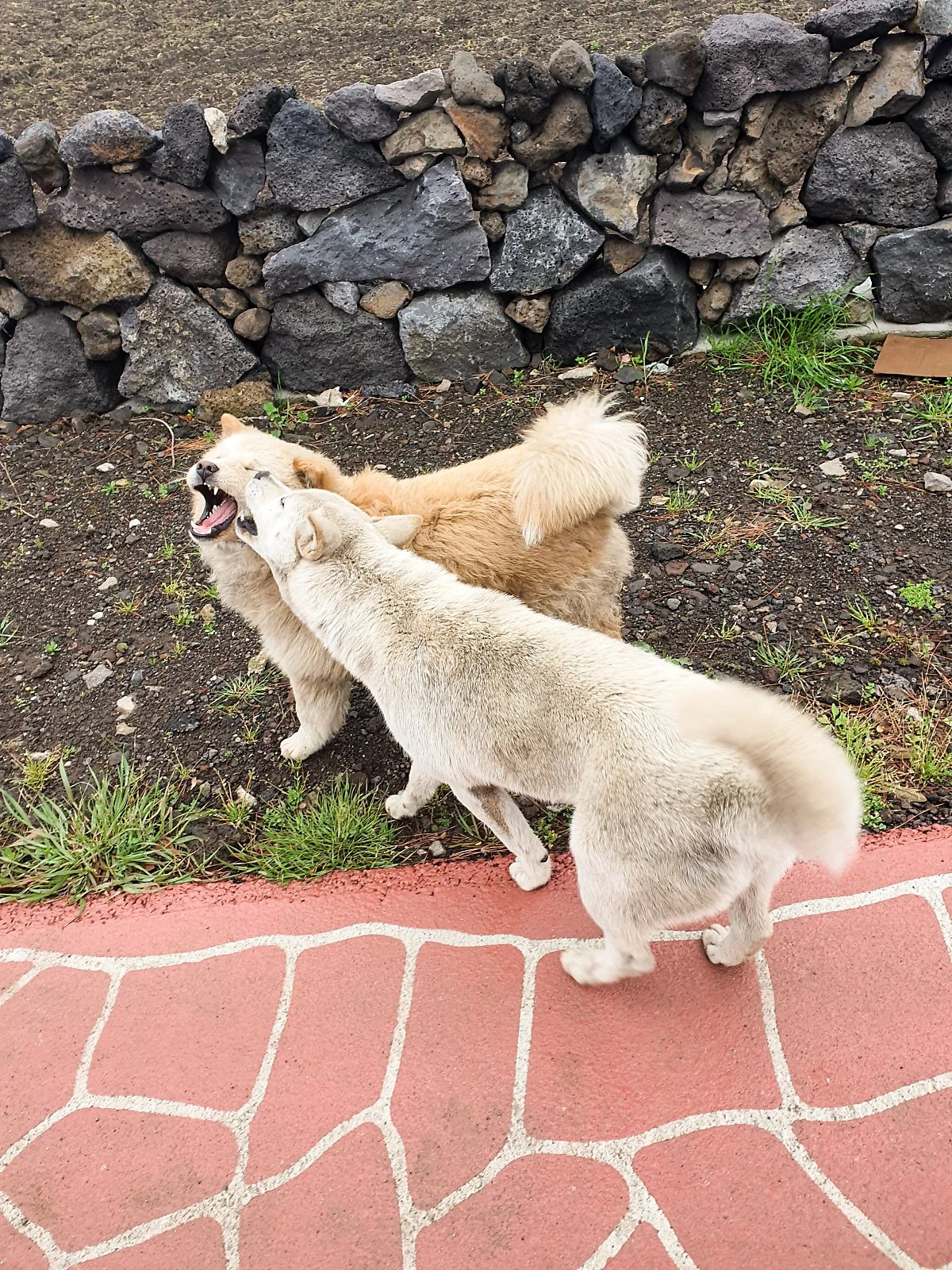 d_%EC%A2%85%EB%8B%AC%EB%A6%AC_%EA%B1%B0%EB%A6%AC_2.jpg?type=w1200