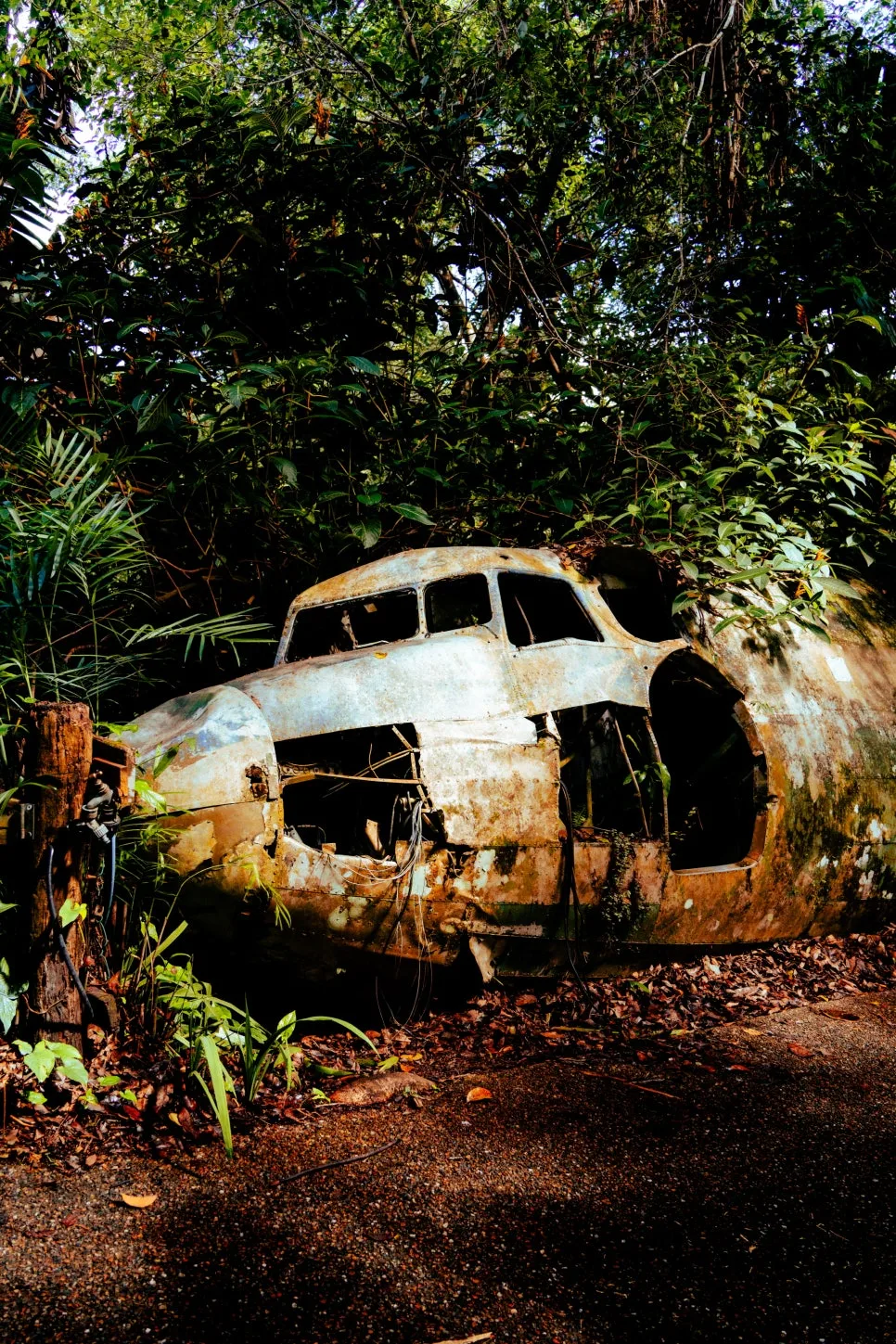 %EC%BF%A0%EB%9E%80%EB%8B%A4_%EB%B9%8C%EB%A6%AC%EC%A7%80.jpg?type=w966