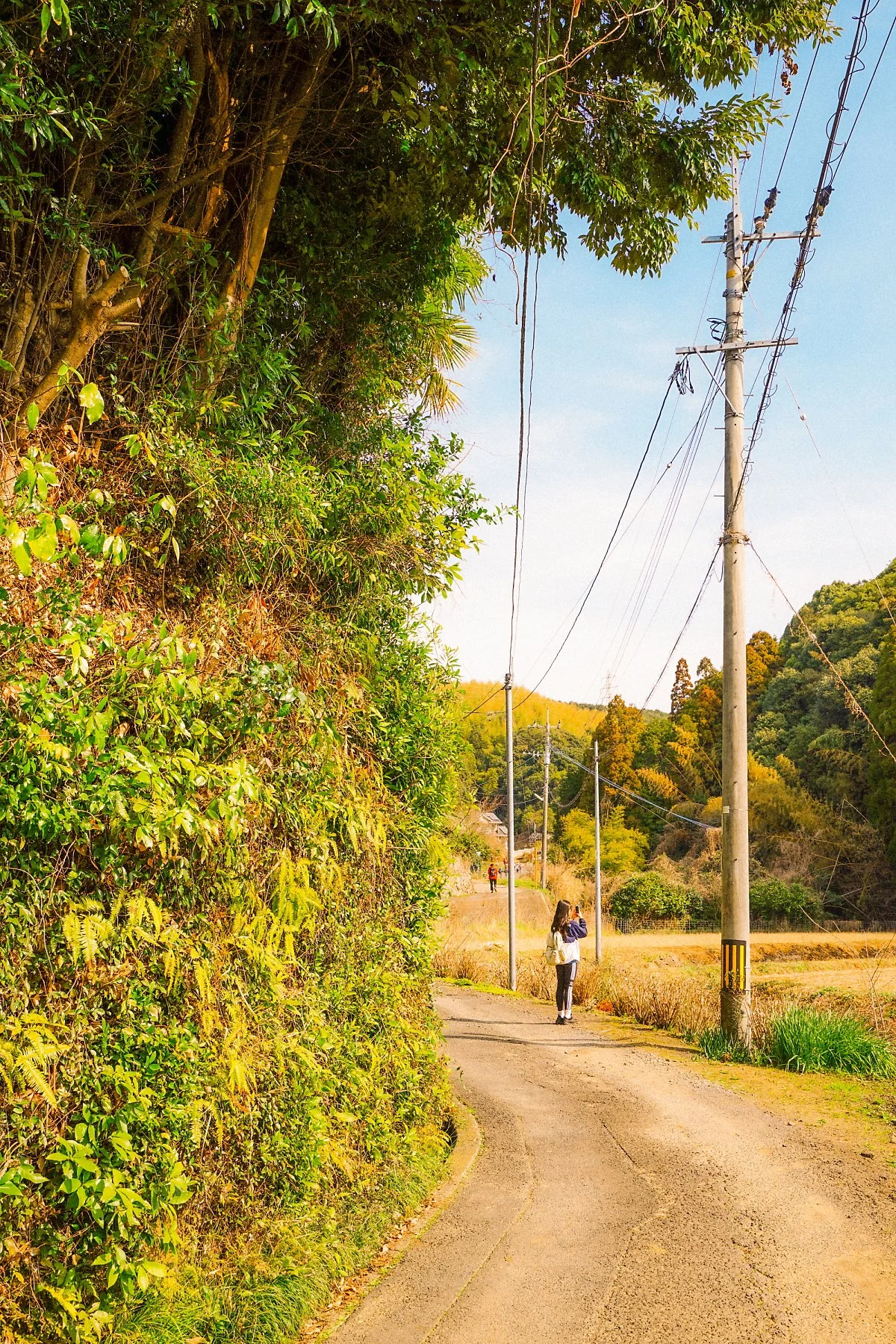 %EB%A7%88%EC%B8%A0%EC%9A%B0%EB%9D%BC_%EC%BD%94%EC%8A%A4_%EC%B4%88%EB%B0%98_%285%29.JPG?type=w1200