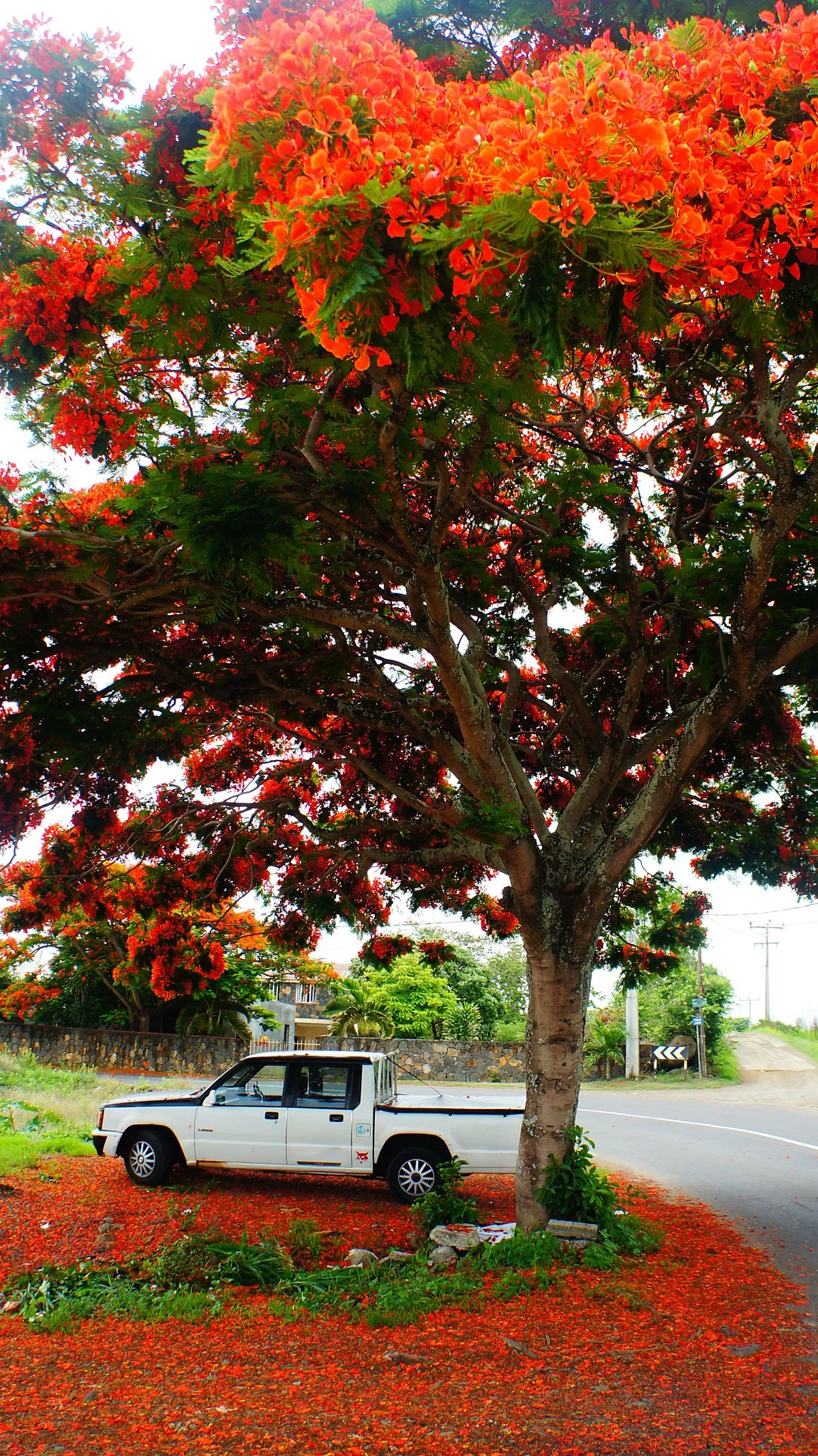 %EA%B1%B0%EB%A6%AC%ED%92%8D%EA%B2%BD_%287%29.JPG?type=w1200