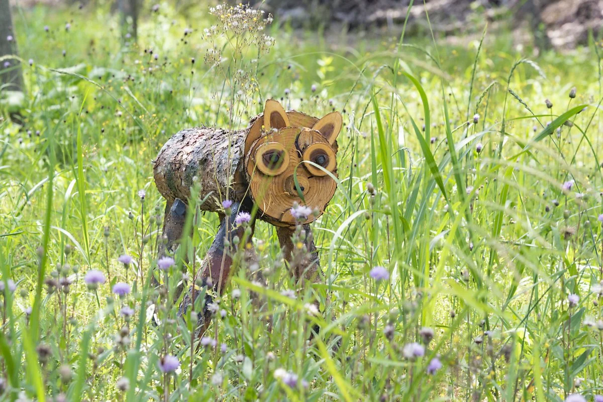 %EC%9A%B4%EA%B3%A1%EB%9E%8C%EC%82%AC%EB%A5%B4%EC%8A%B5%EC%A7%80%EC%83%9D%ED%83%9C%EA%B3%B5%EC%9B%90_%2811%29.jpg?type=w1200