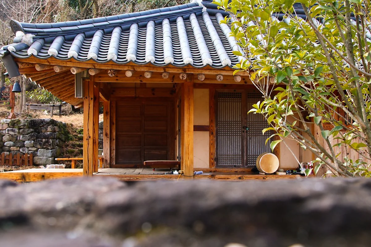 %EC%B1%84%EB%8F%99%EC%84%A0_%EC%83%9D%EA%B0%80.jpg?type=w1200