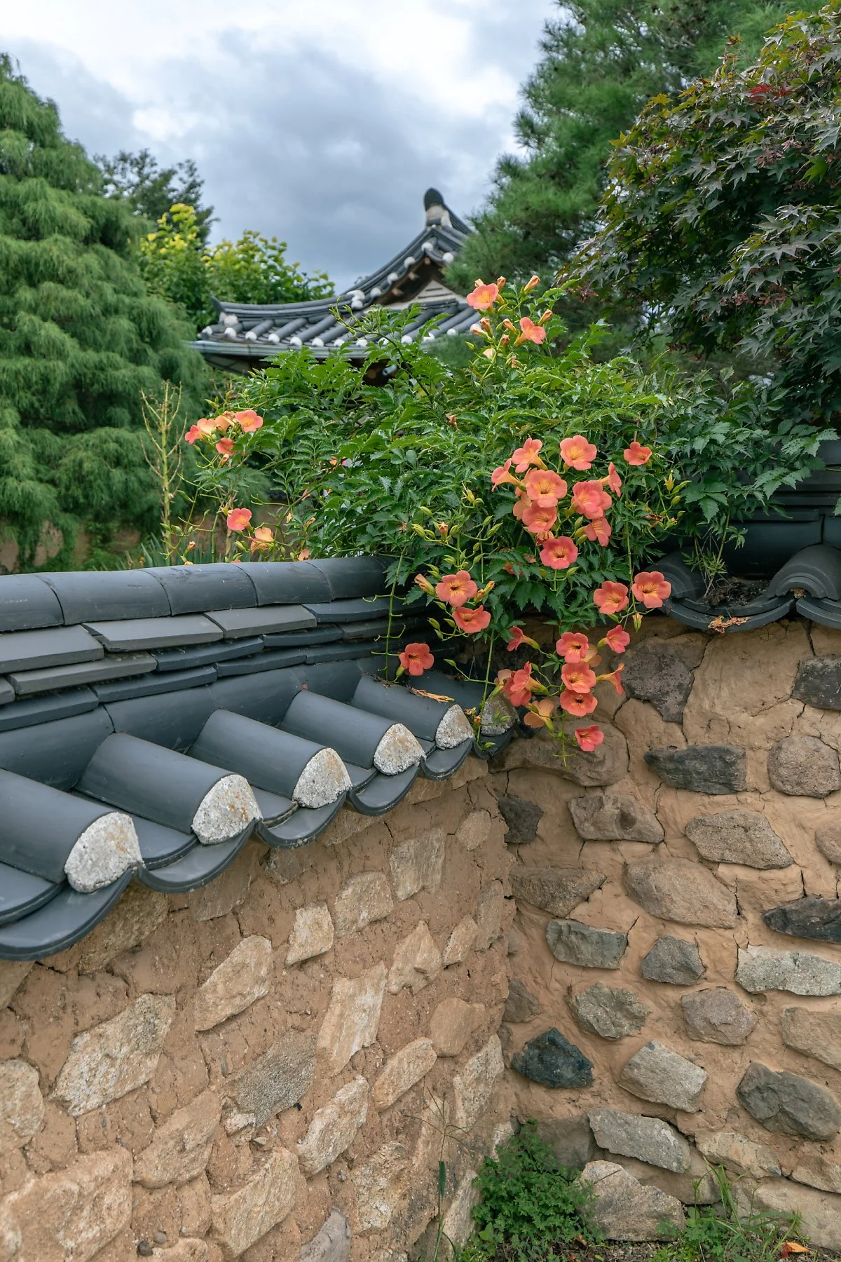 %EC%95%88%EB%8F%99%ED%95%98%ED%9A%8C%EB%A7%88%EC%9D%84_%281%29.JPG?type=w1200