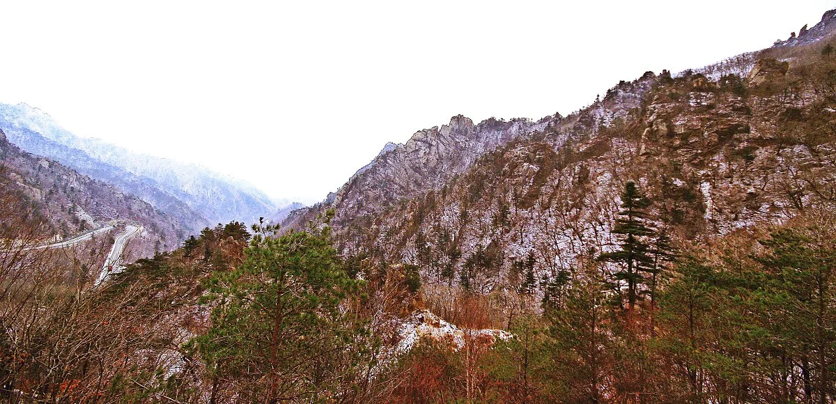 %ED%95%9C%EA%B3%84%EB%A0%B9%EC%97%90%EC%84%9C_%ED%95%84%EB%A1%80%EC%95%BD%EC%88%98%EB%A1%9C_%EA%B0%80%EB%8A%94_%EA%B8%B8%EC%97%90%EC%84%9C_%EB%B3%B8_%ED%92%8D%EA%B2%BD.JPG?type=w1200