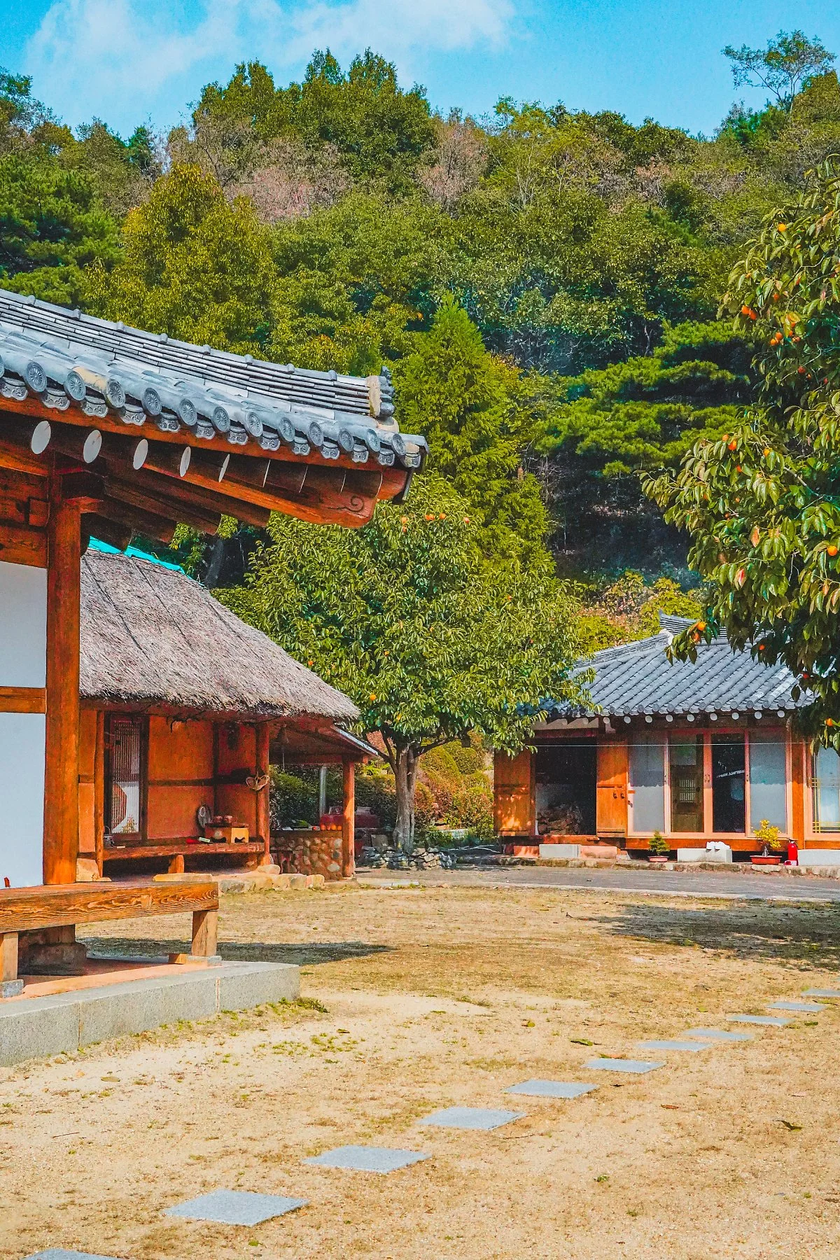 DSC01629.jpg?type=w1200