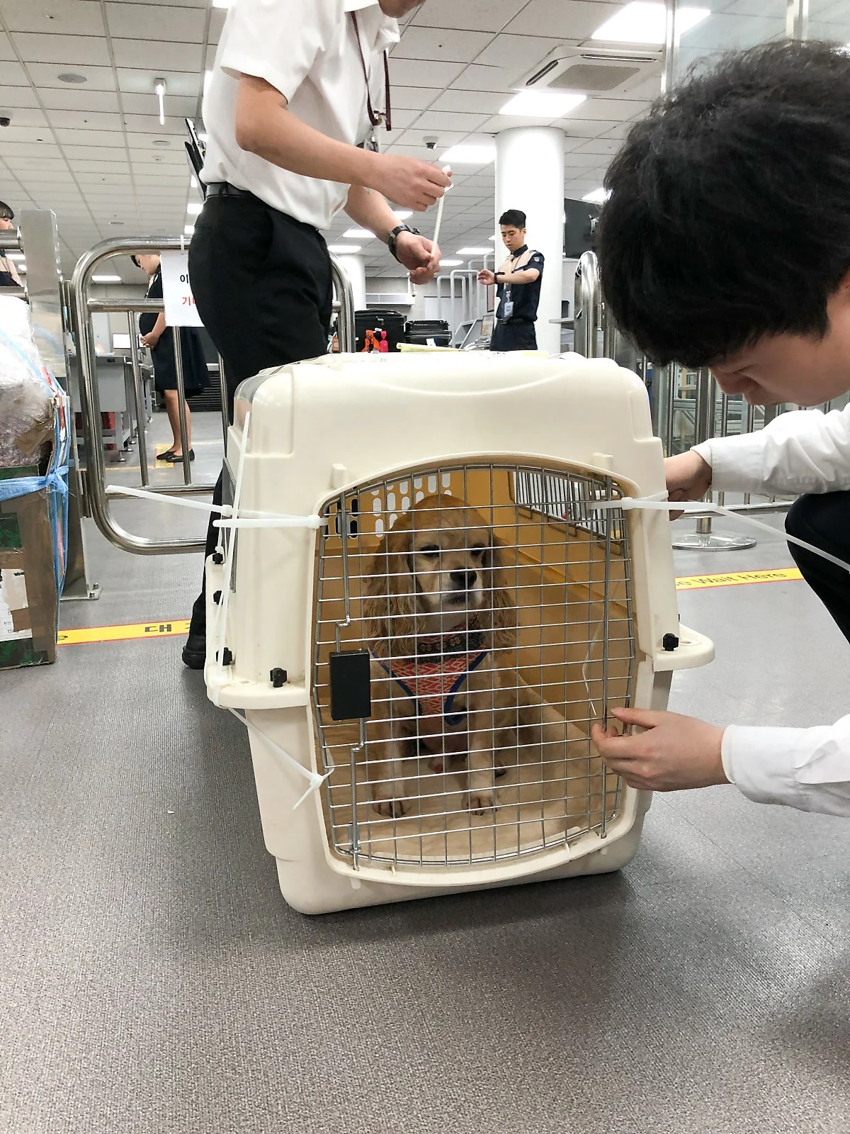 photo_0.jpg?type=w1200