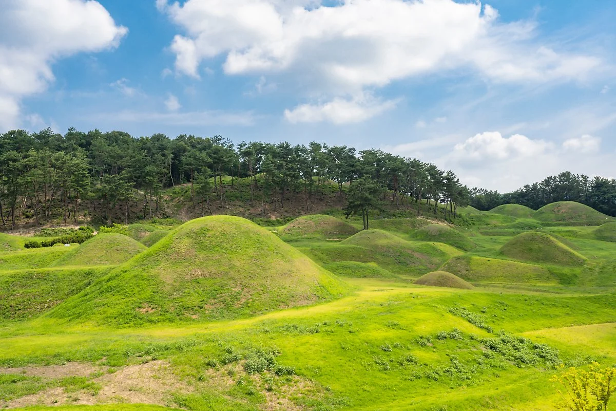 %EA%B3%A0%EB%B6%84%EA%B5%B0%EC%A0%84%EC%8B%9C%EA%B4%80_%2814%29.jpg?type=w1200