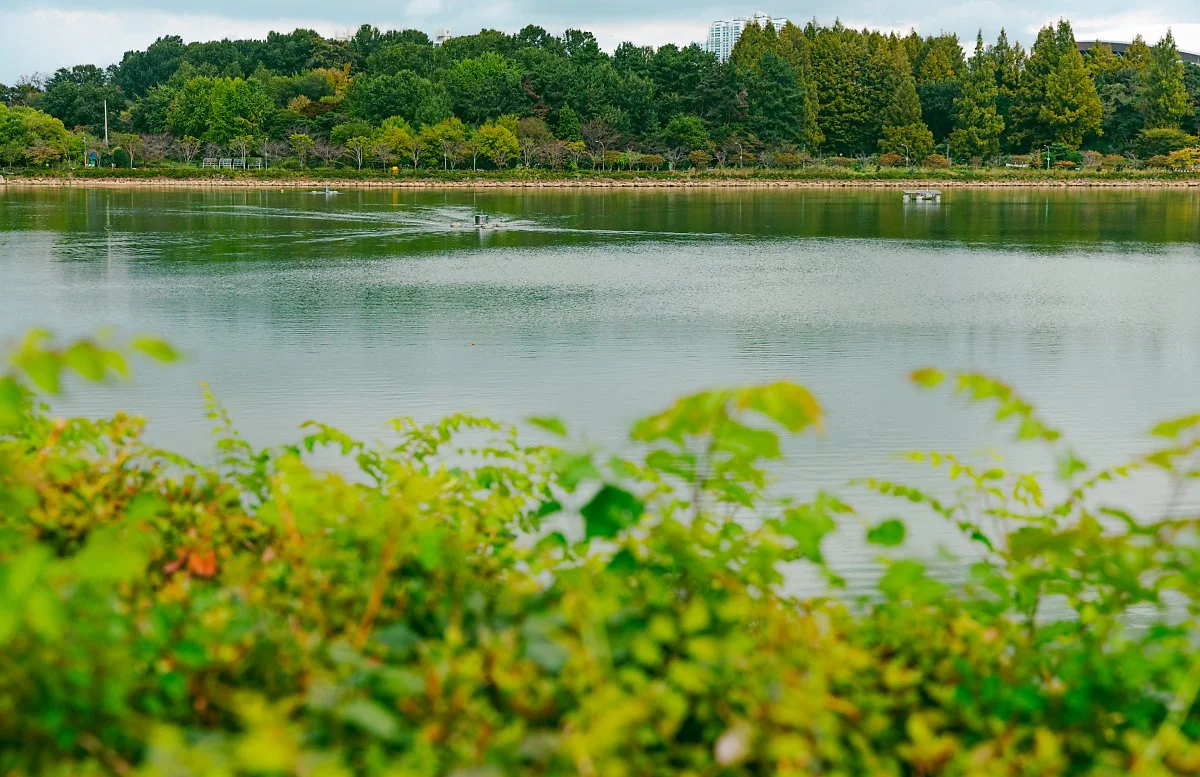 d_%ED%92%8D%EC%95%94%ED%98%B8%EC%88%98%EA%B3%B5%EC%9B%90_3.jpg?type=w1200