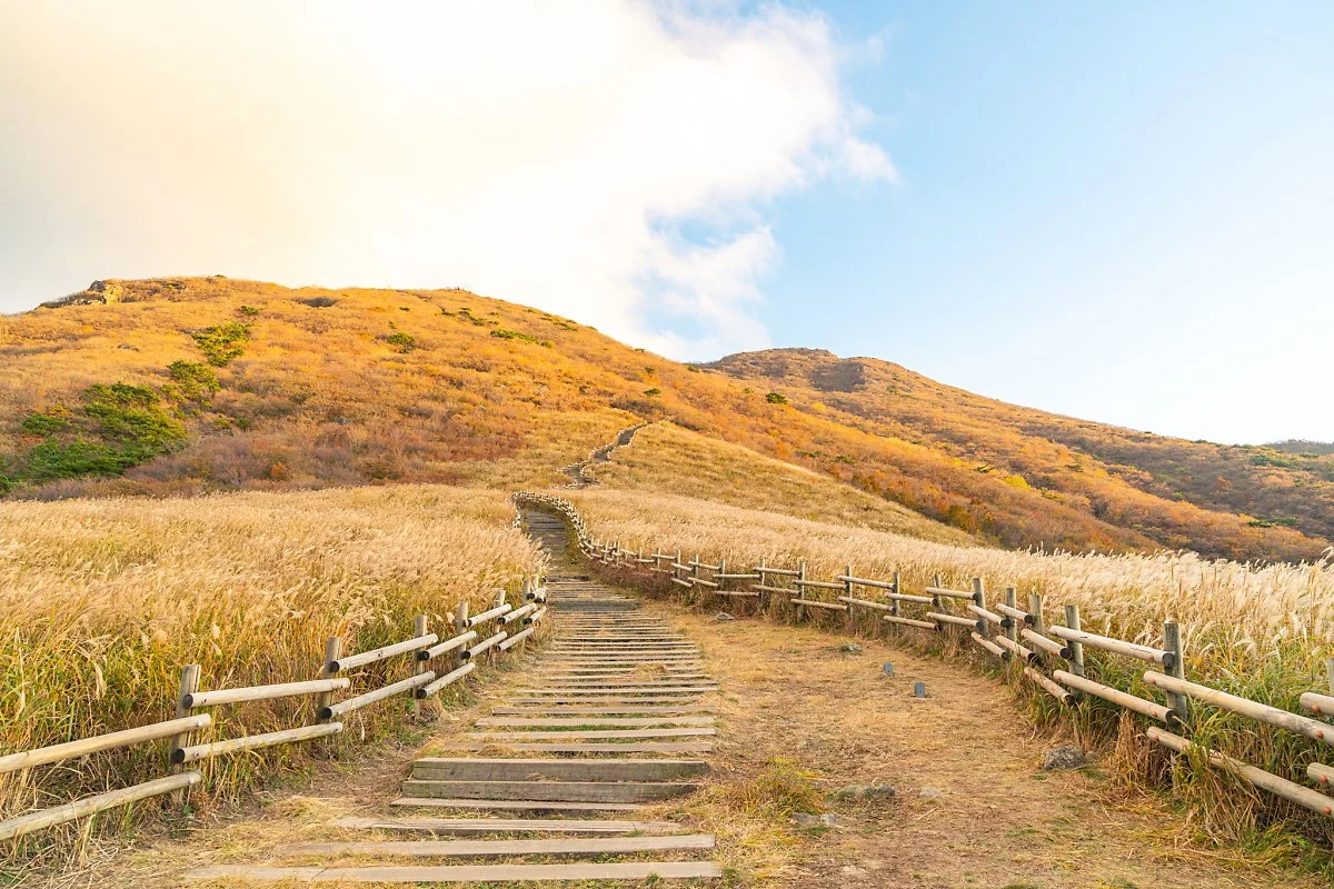 %EA%B0%84%EC%9B%94%EC%9E%AC_008.jpg?type=w1200