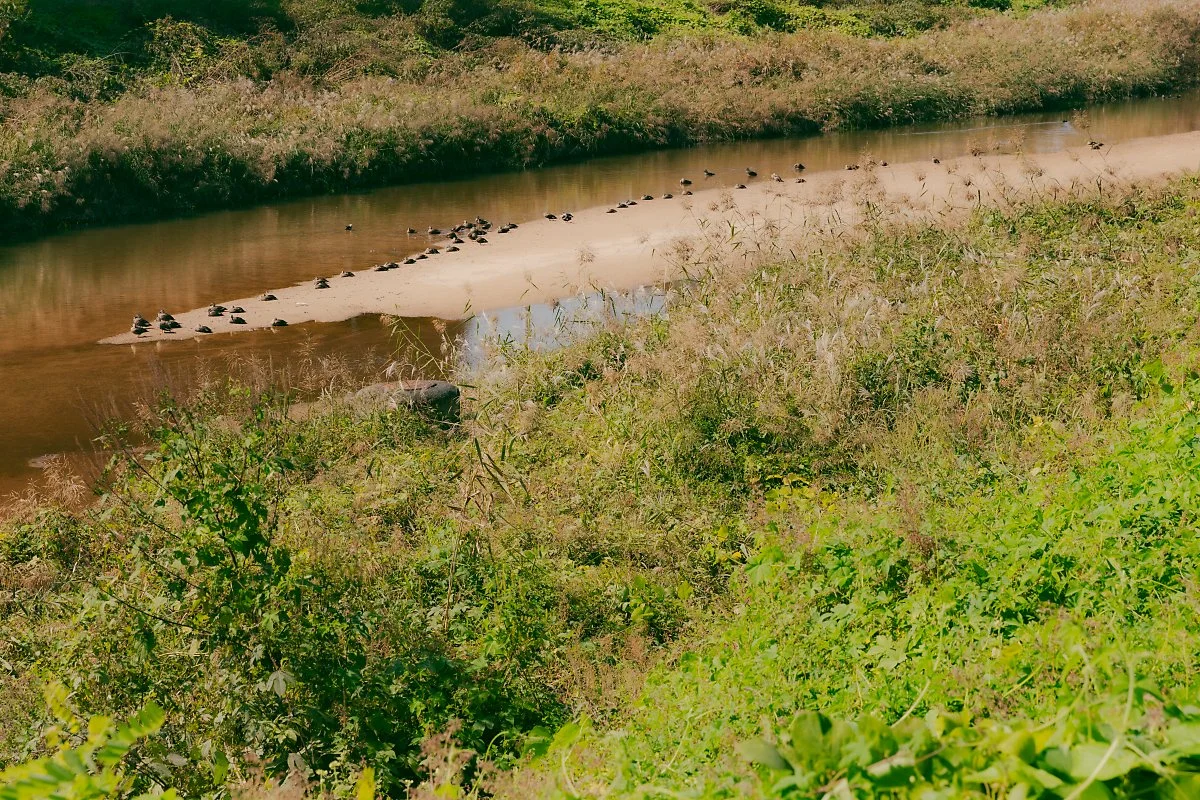 _86A4790.jpg?type=w1200